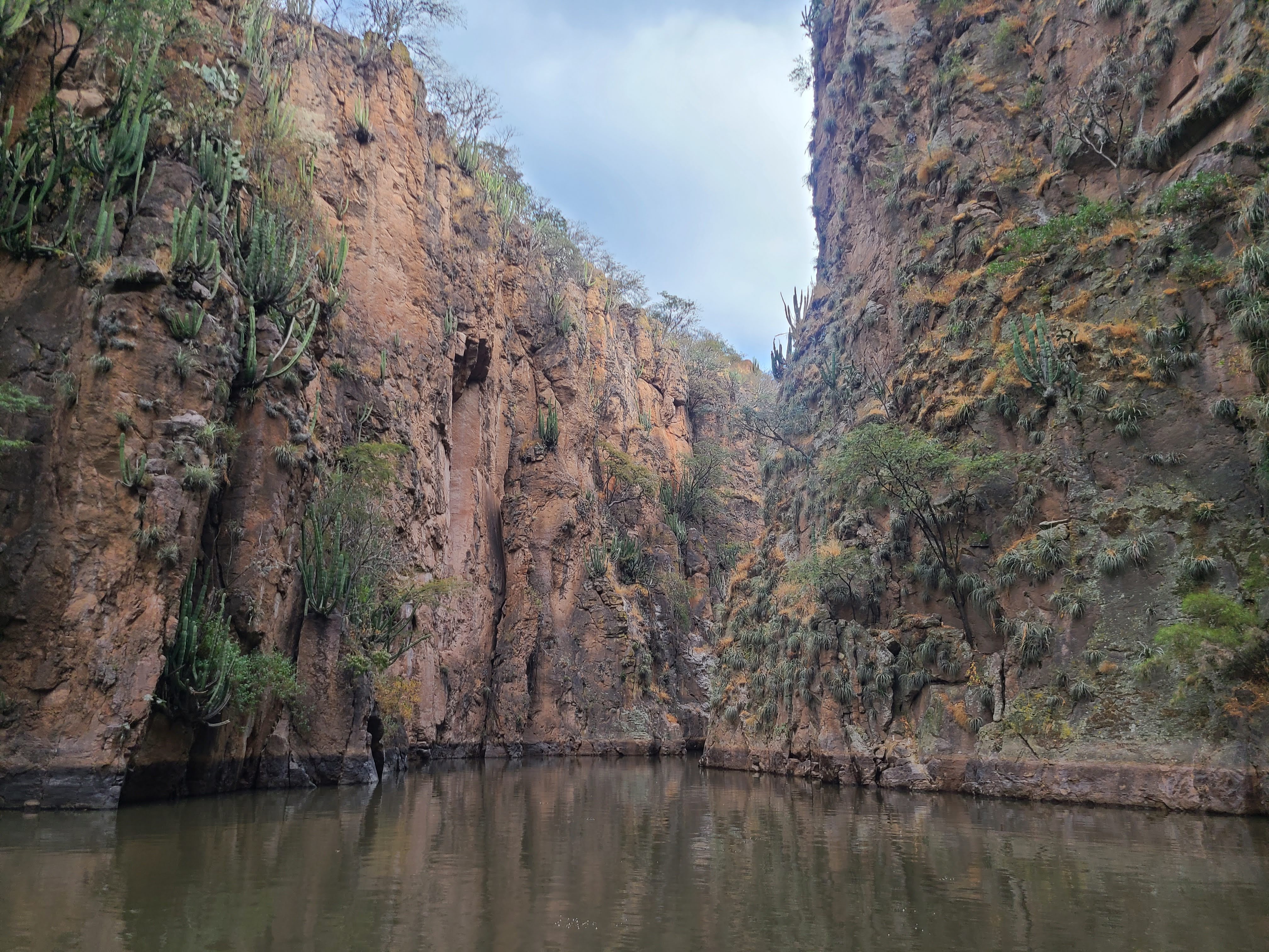 Restaurante y Cabañas Los Chenchos image 9
