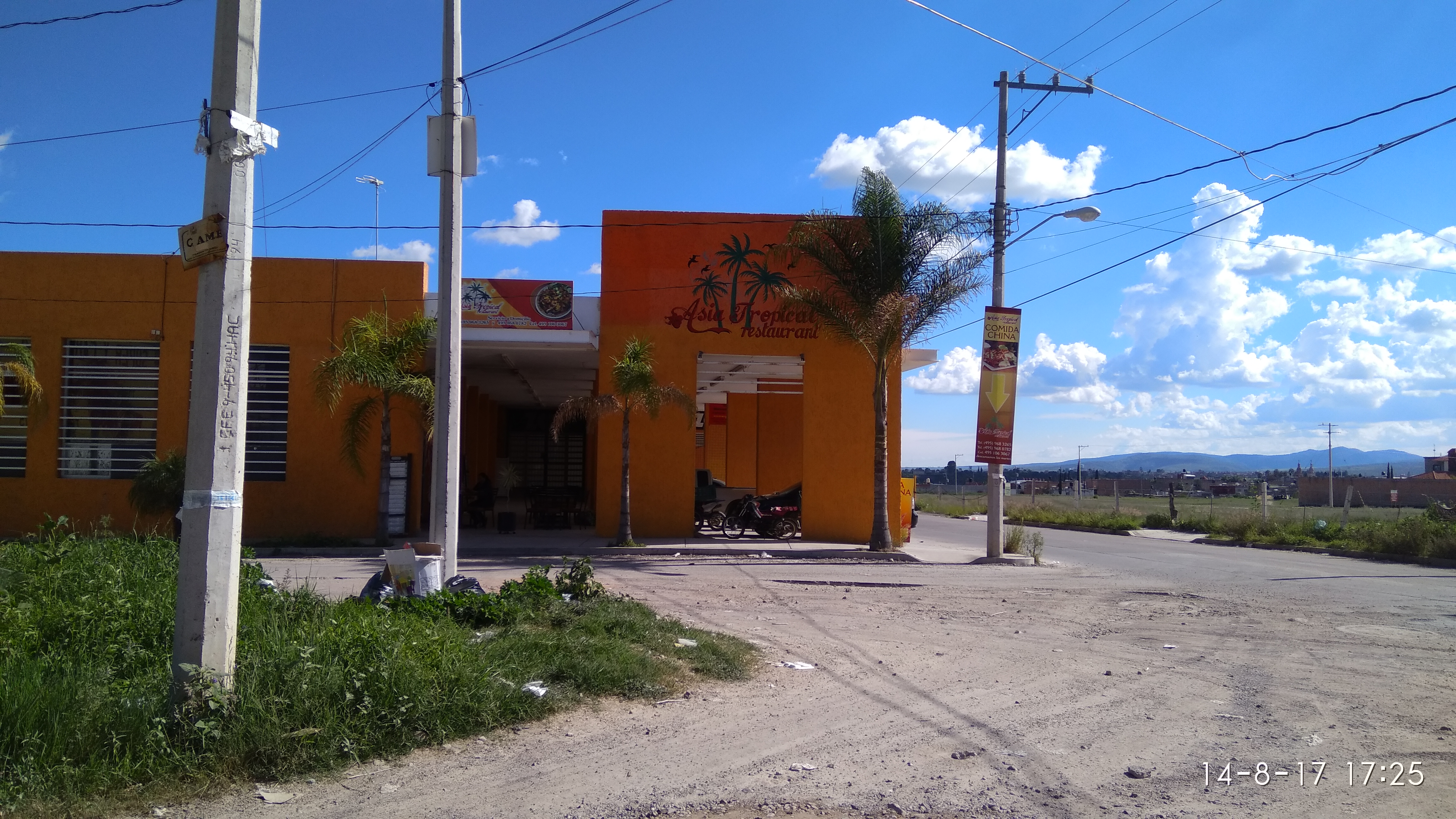 Asia Tropical image 7