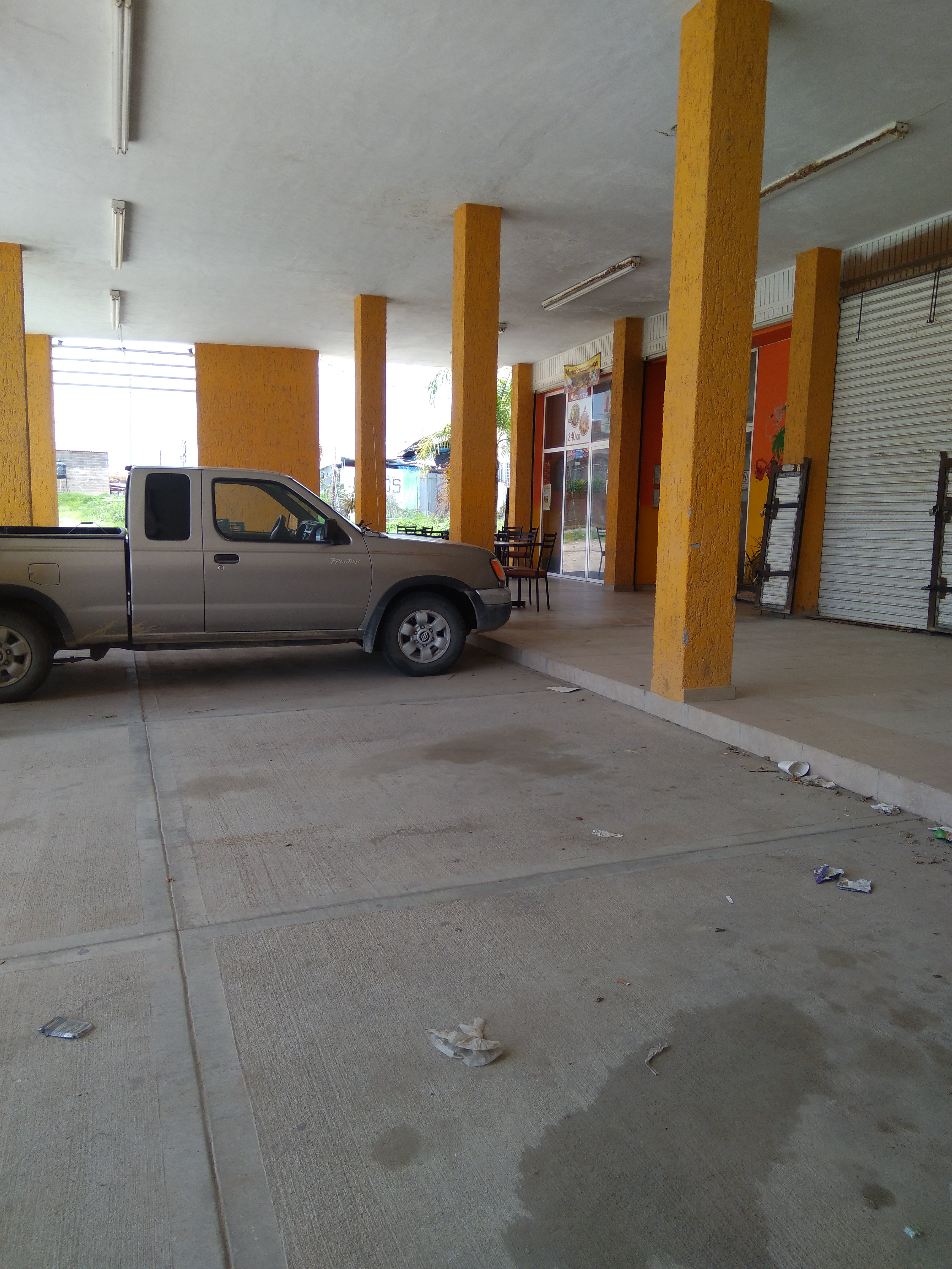 Asia Tropical image 9