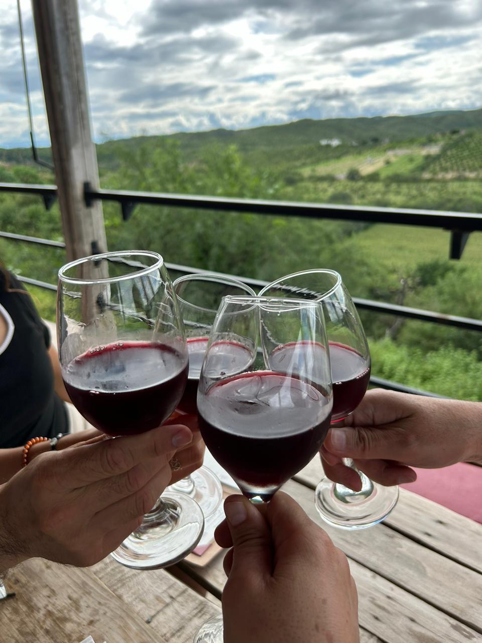 La Mía Casa restaurante image 2