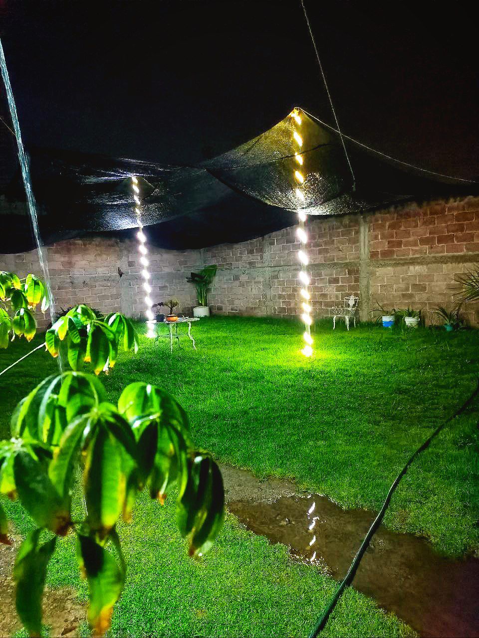 Tacos Bora Bora image 8