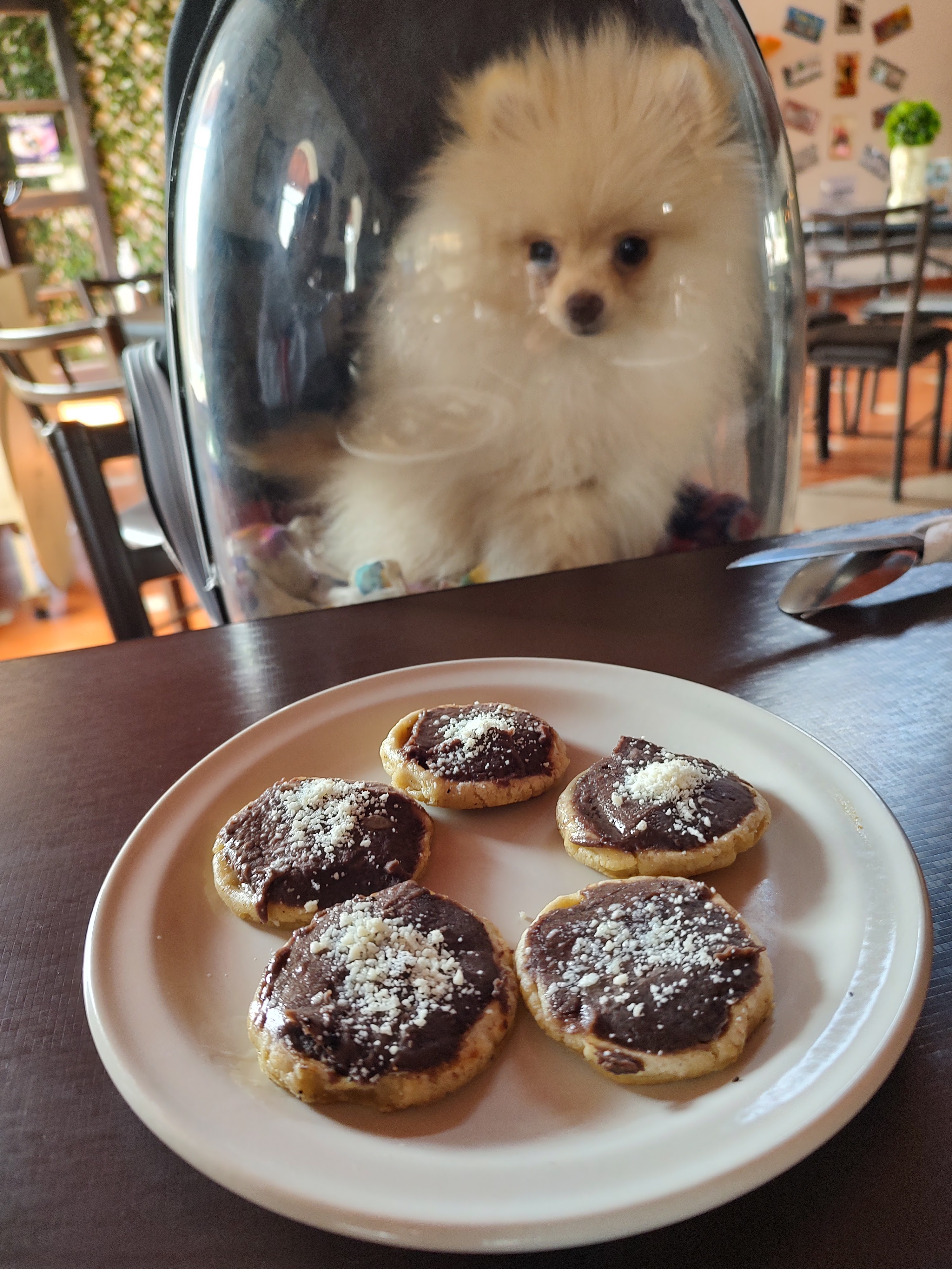 Delicostillas Nextlalpan image 9