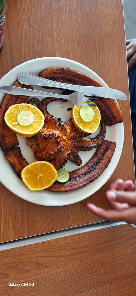 Fish Palace image 5