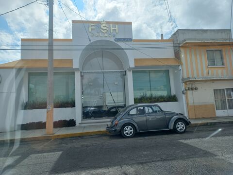 Fish Palace image 7