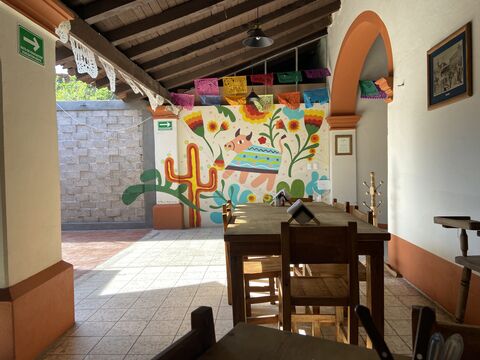 Toro Viejo image 1