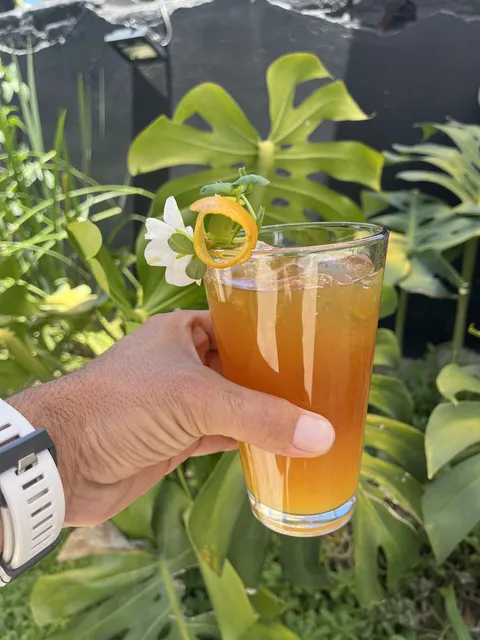 Toro Viejo image 3