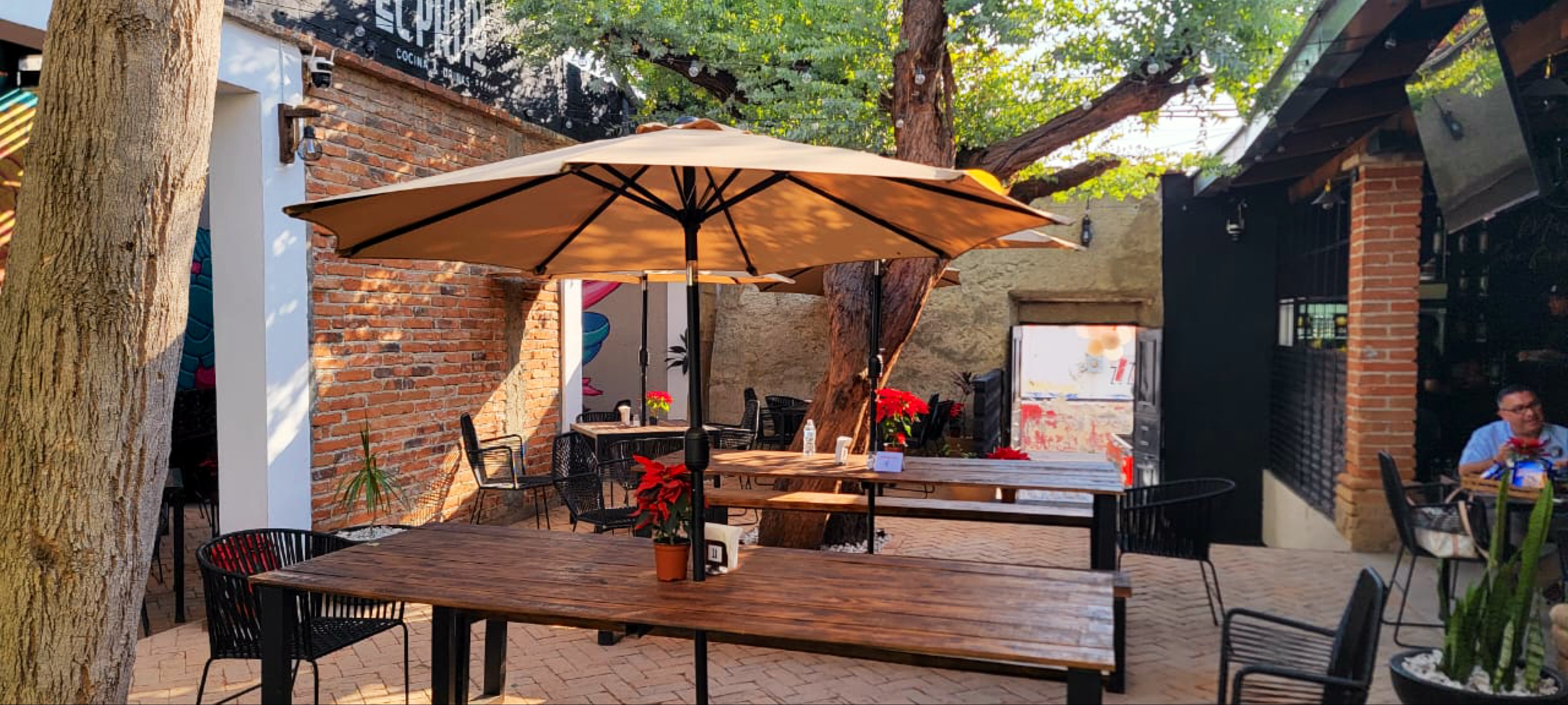 El patio cocina & drinks. Zapotiltic. image 1