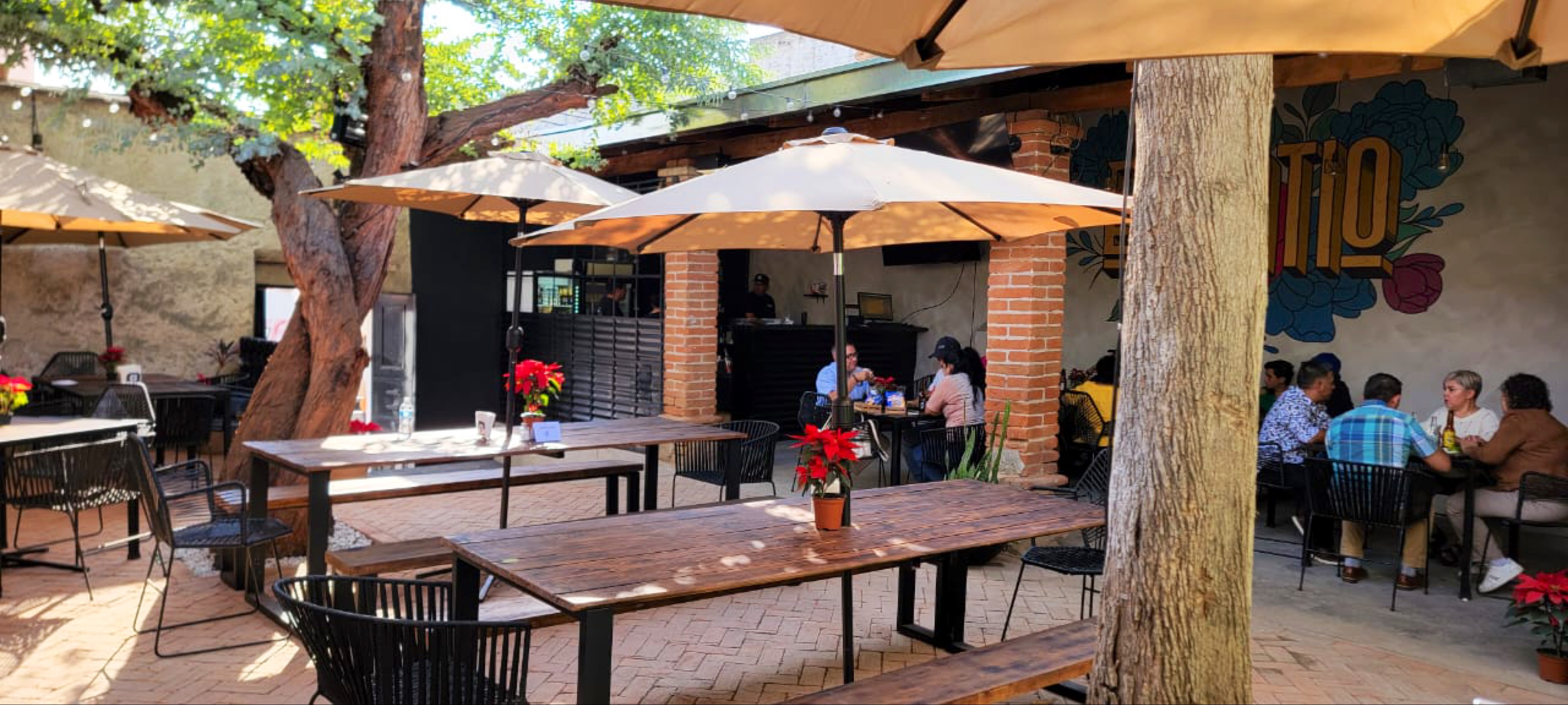 El patio cocina & drinks. Zapotiltic. image 4