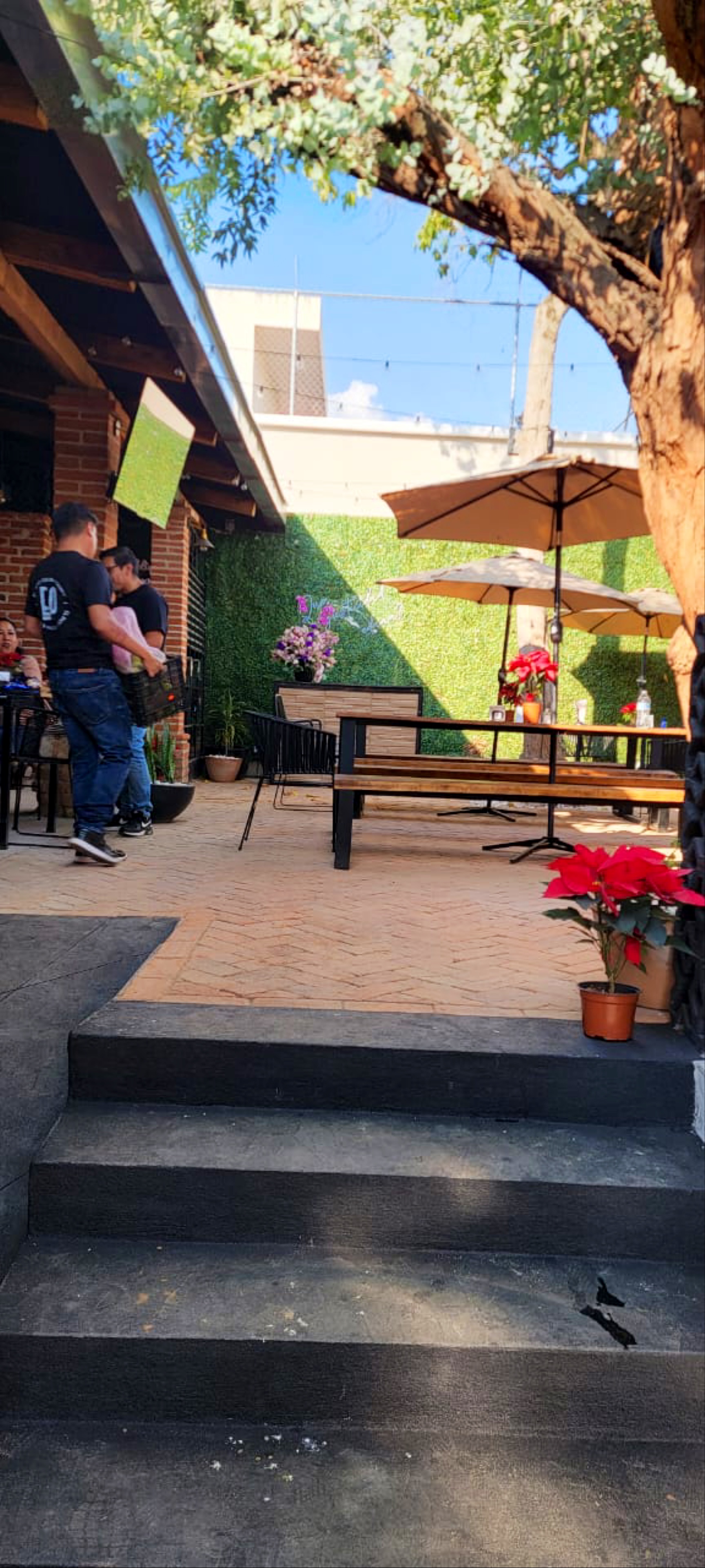 El patio cocina & drinks. Zapotiltic. image 6