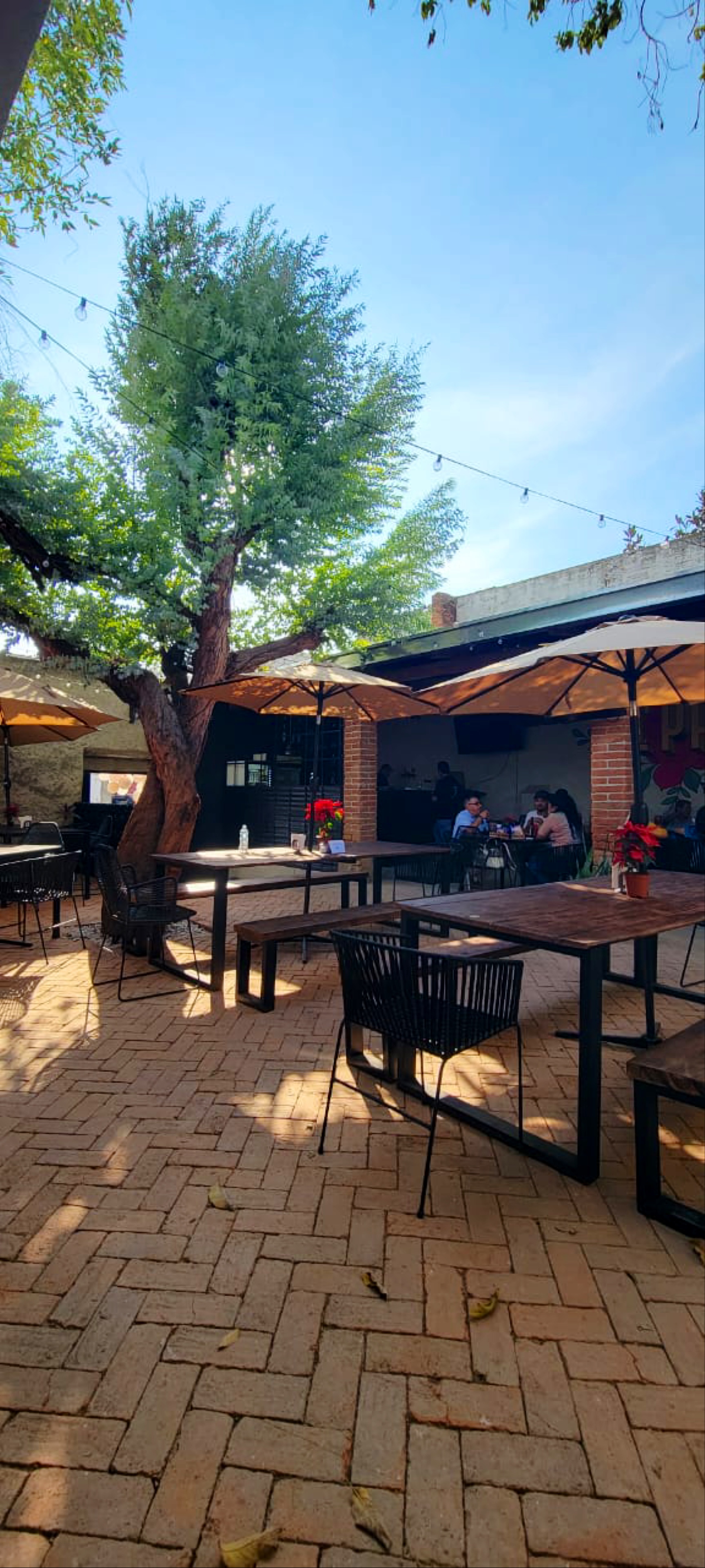 El patio cocina & drinks. Zapotiltic. image 10