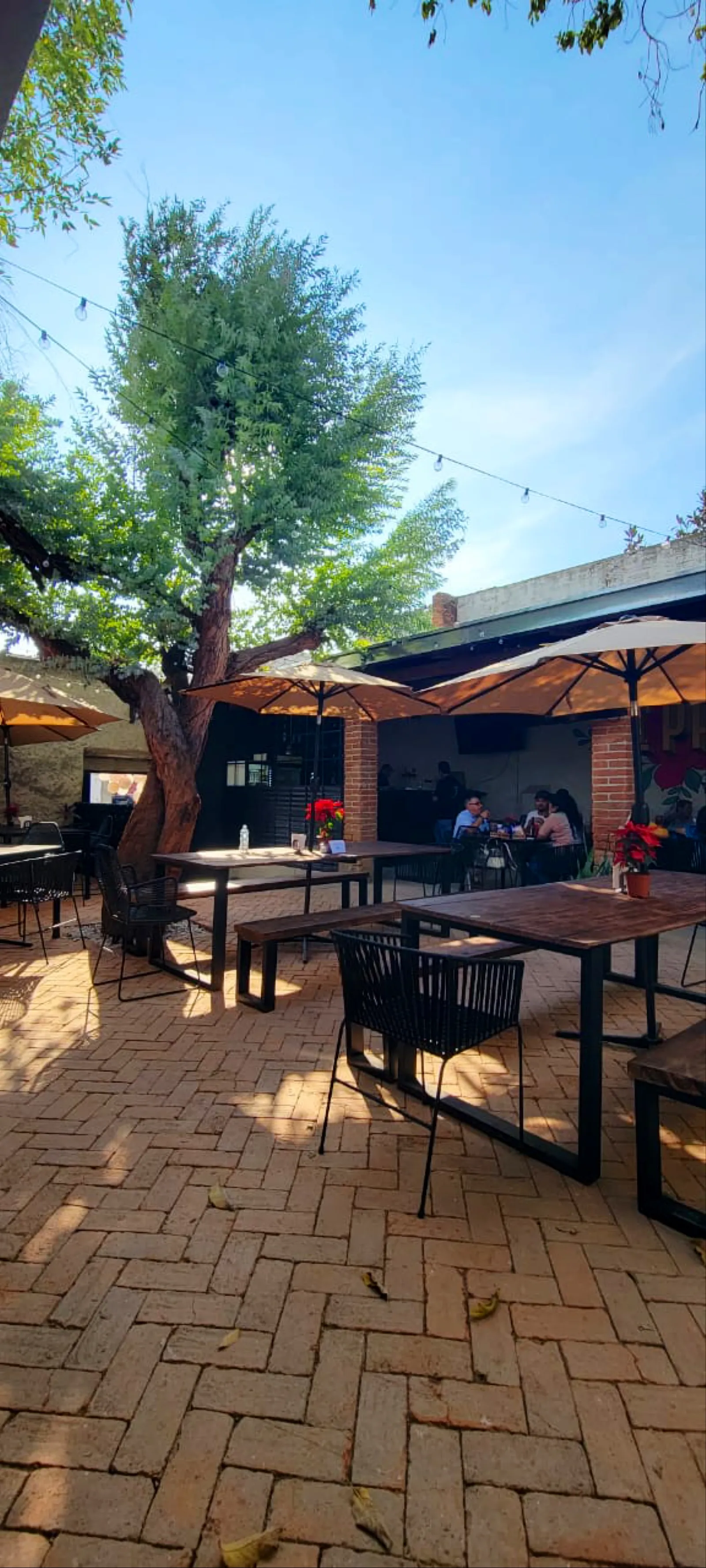 El patio cocina & drinks. Zapotiltic. image 10