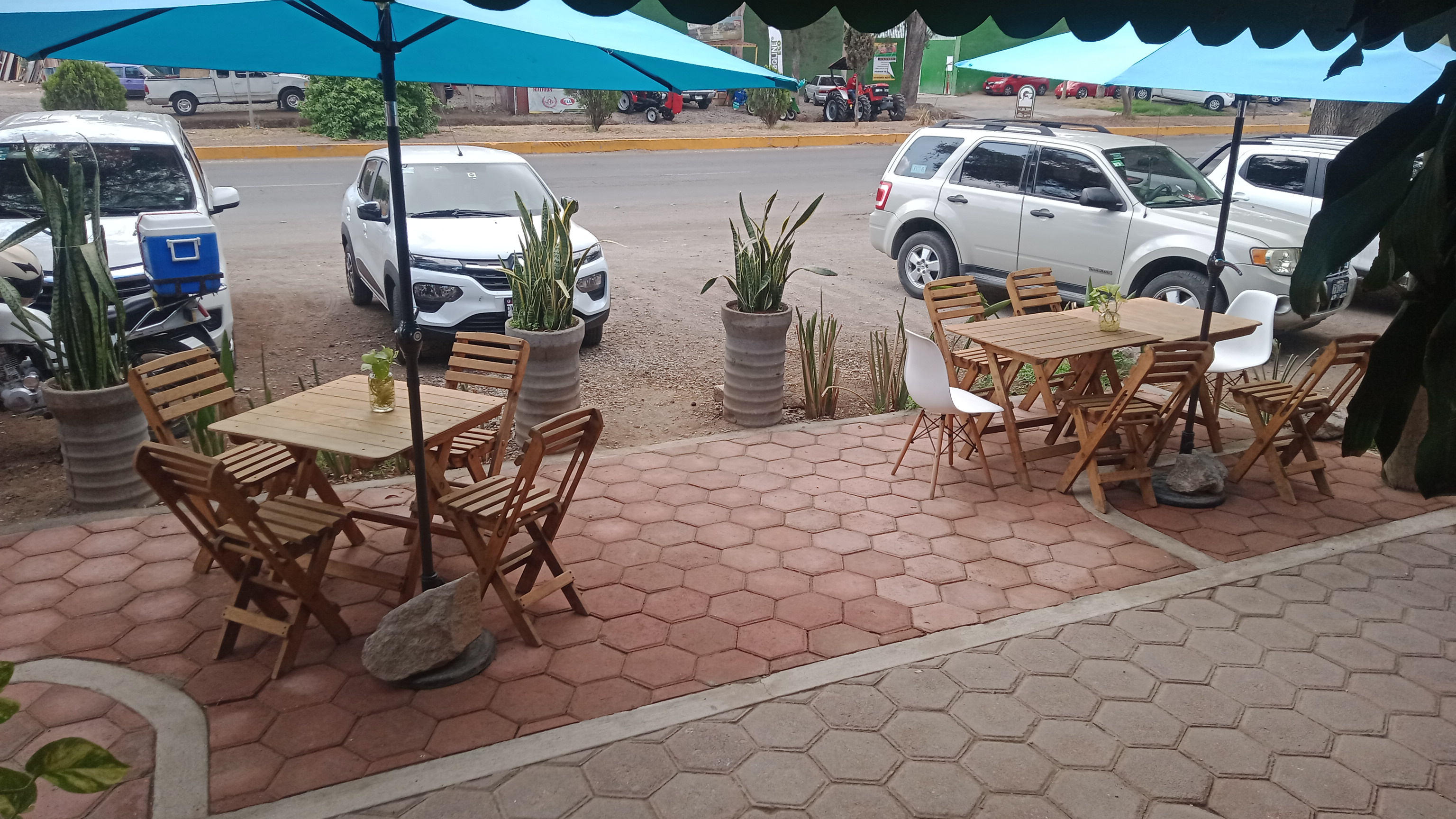 MOAN restaurante image 2