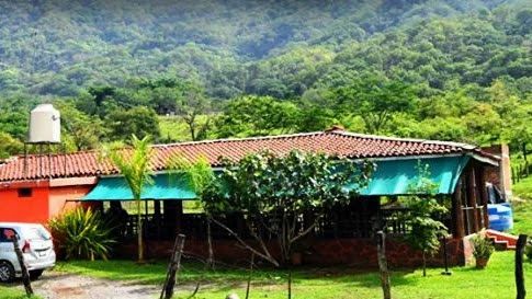 Mariscos Mary image 2