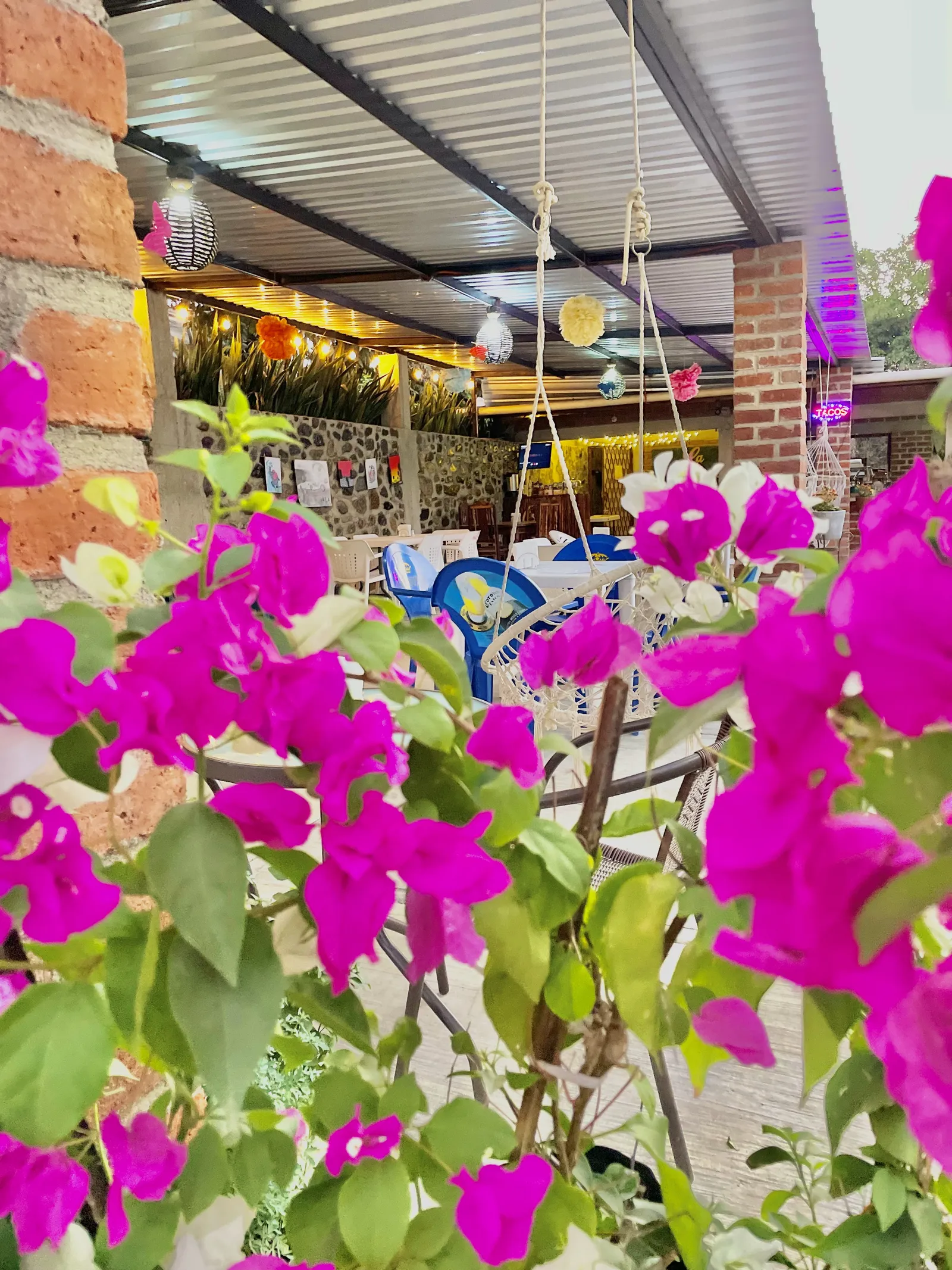 La Taqueria image 8