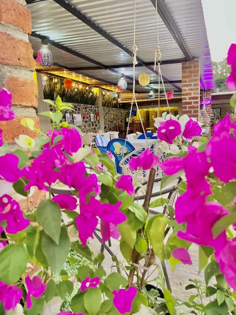 La Taqueria image 8