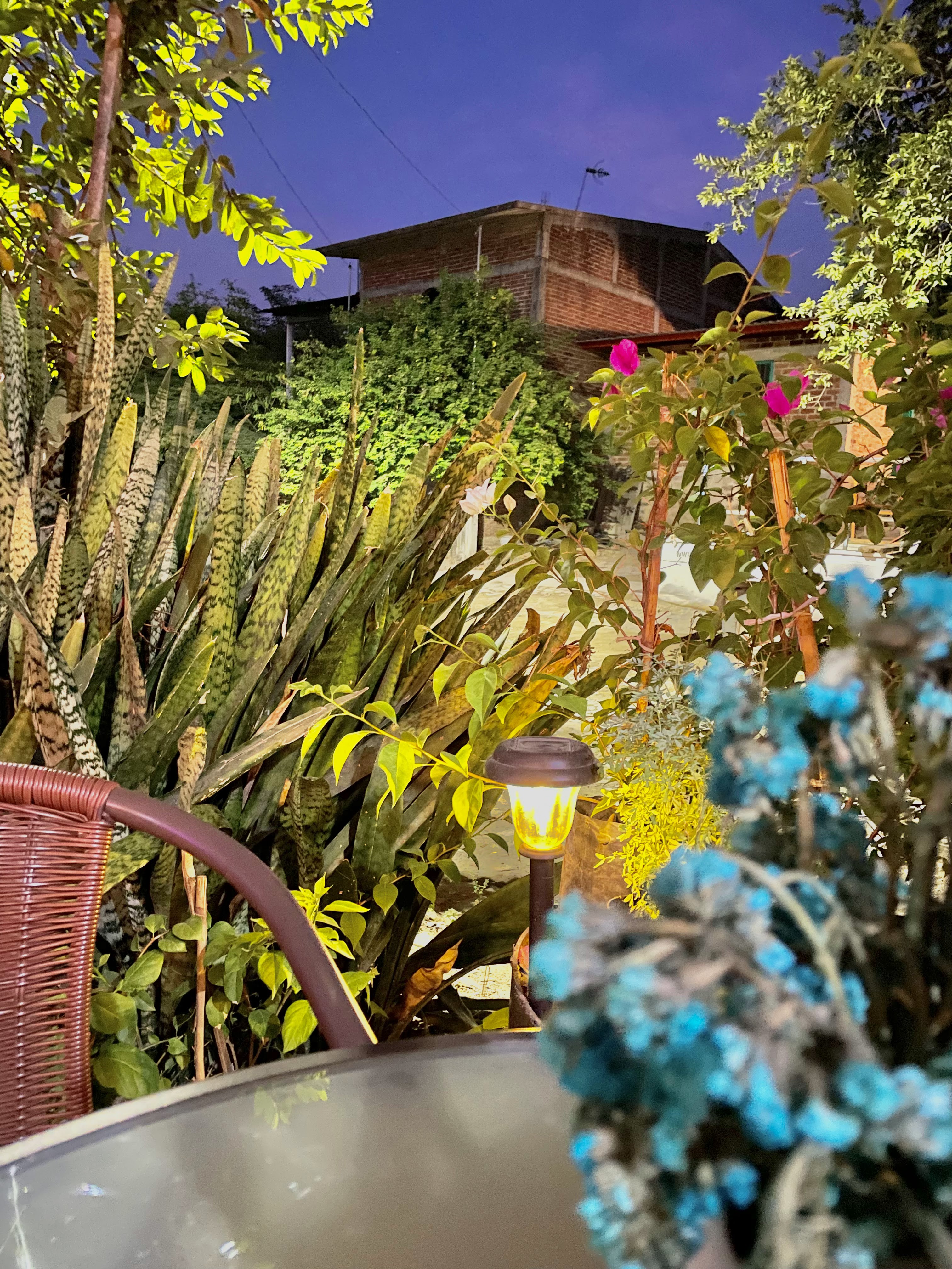 La Taqueria image 10