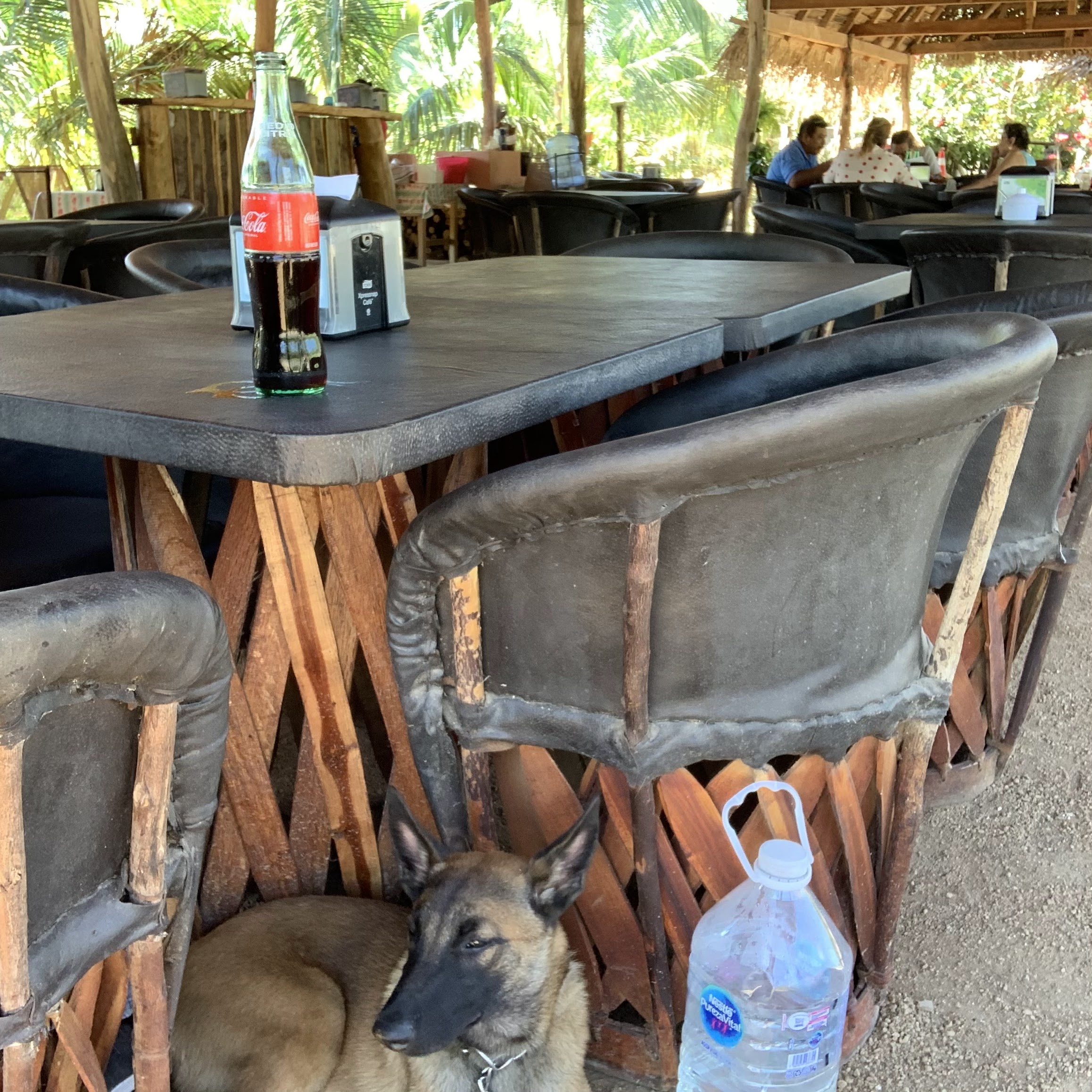 Restaurant Las Palmas image 1