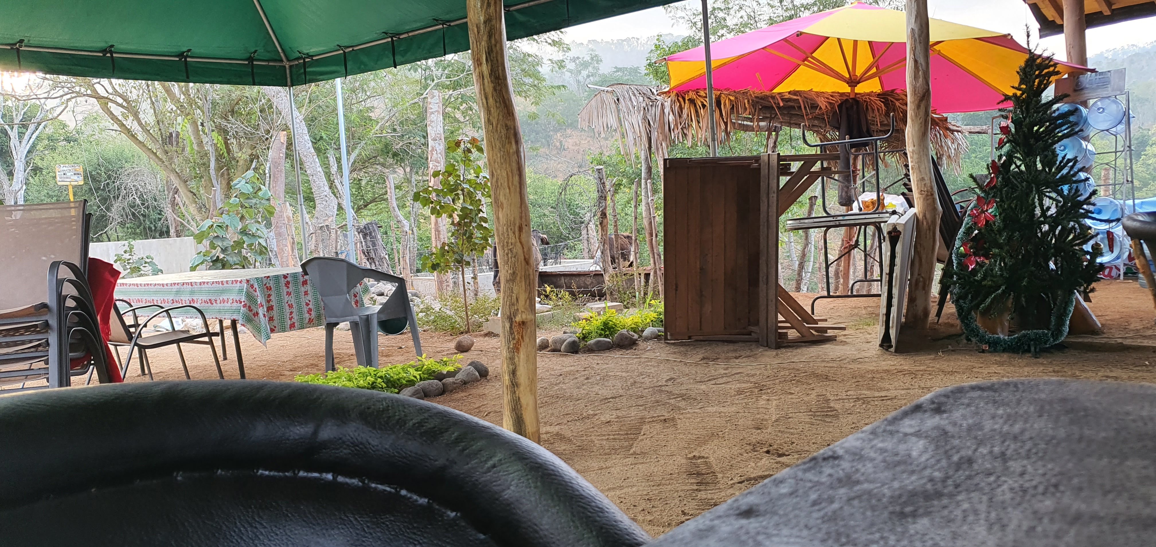 Restaurant Las Palmas image 10