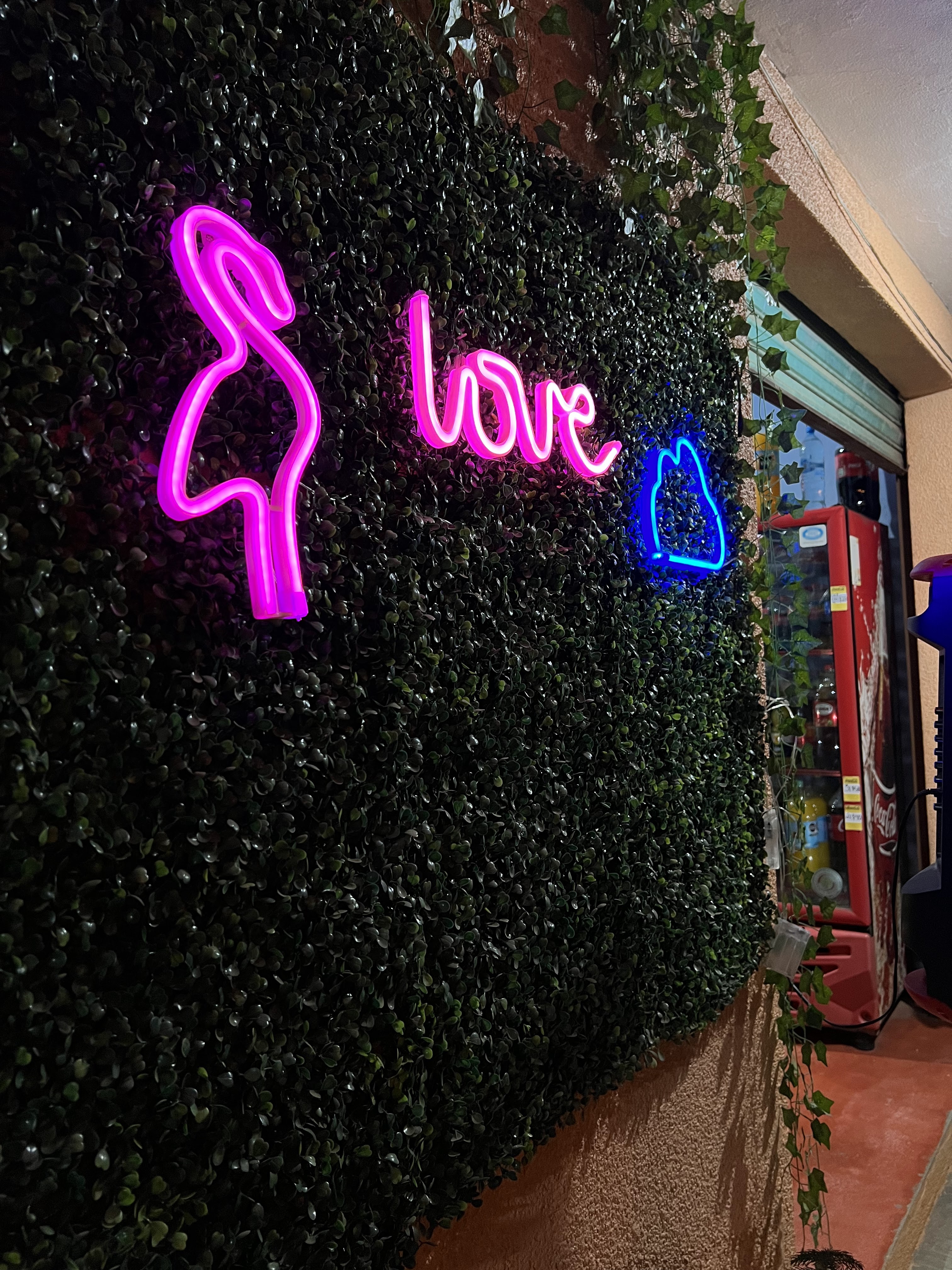 Huaraches "La unica" image 1