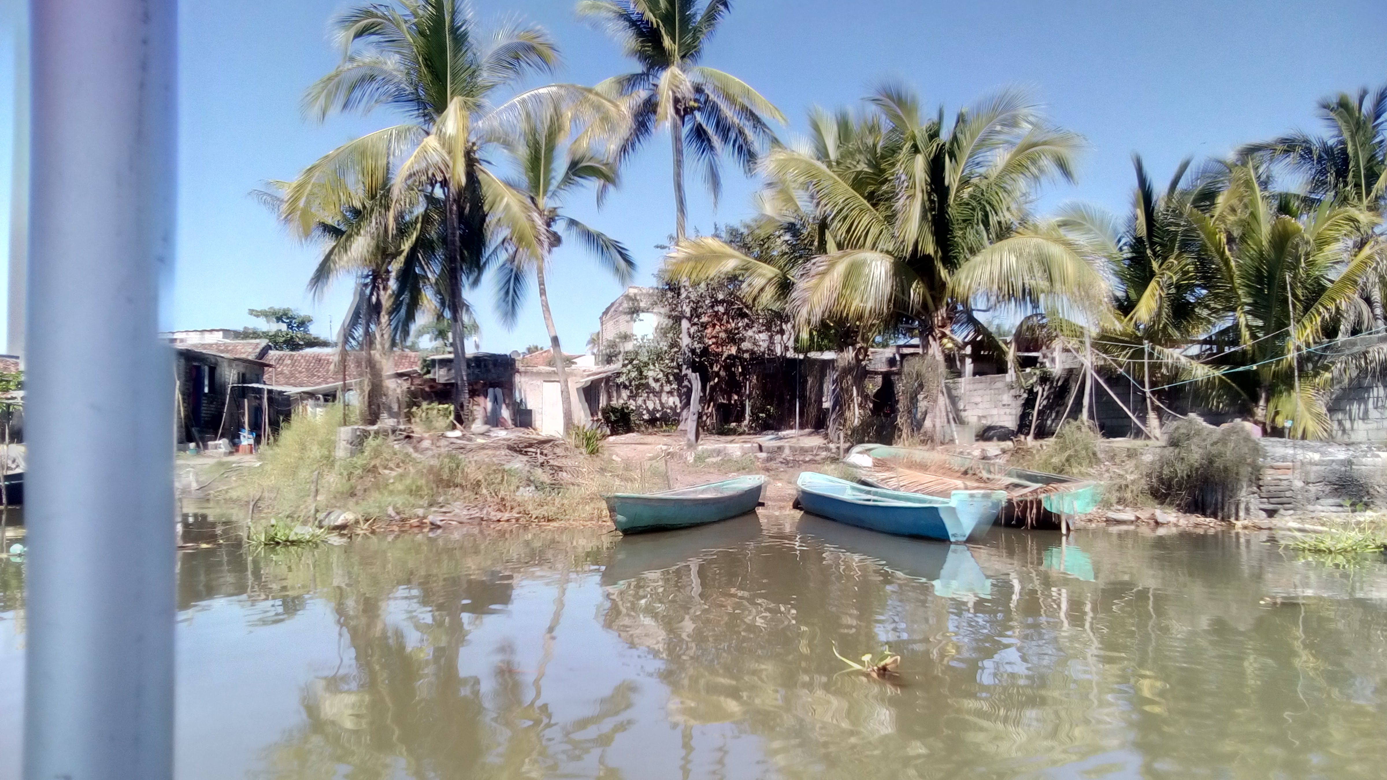 Mariscos Chava image 5