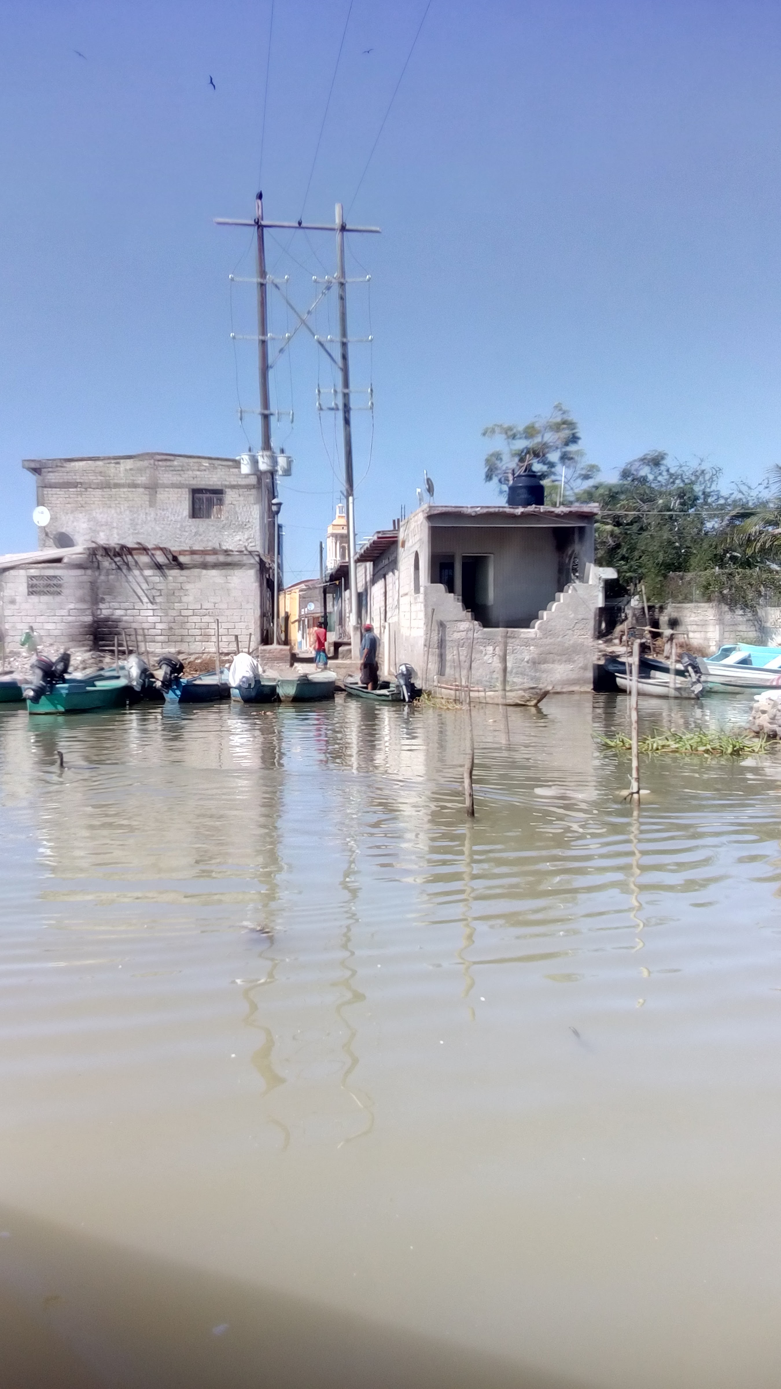 Mariscos Chava image 7