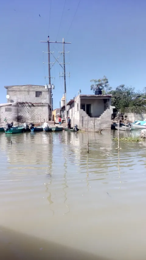 Mariscos Chava image 7