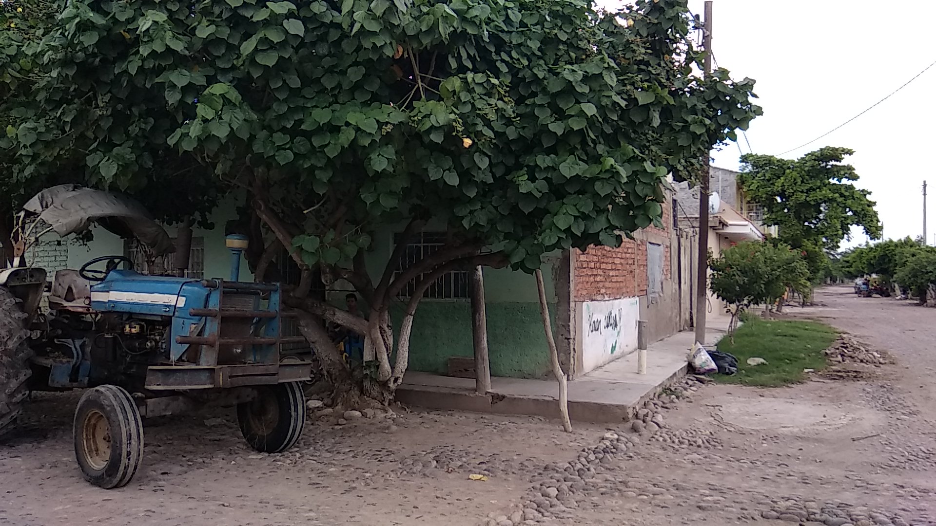 Quesos y Derivados El Rodolfais image 1