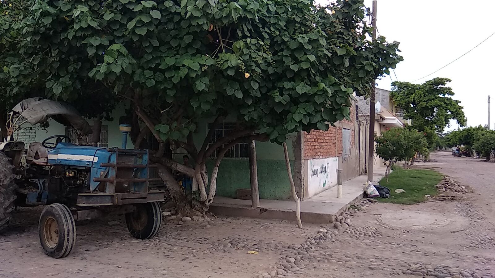 Quesos y Derivados El Rodolfais image 1