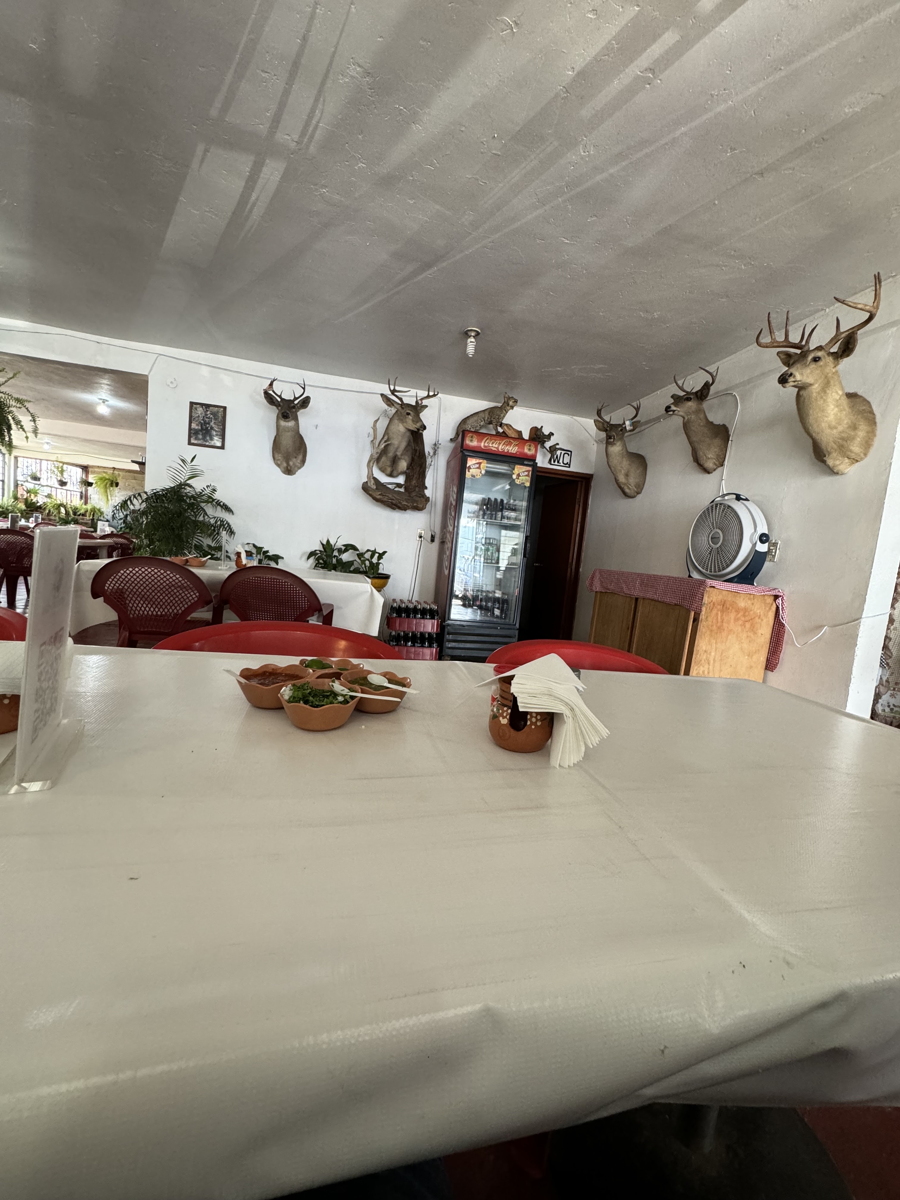 Restaurante La Loma De Don Gonzalo image 7