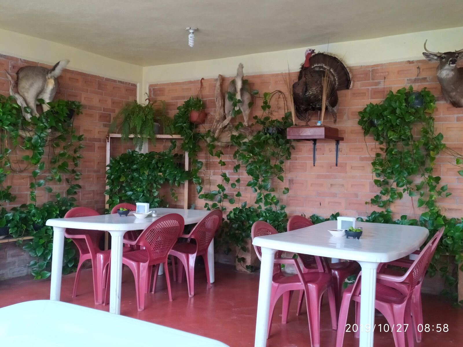 Restaurante La Loma De Don Gonzalo image 9