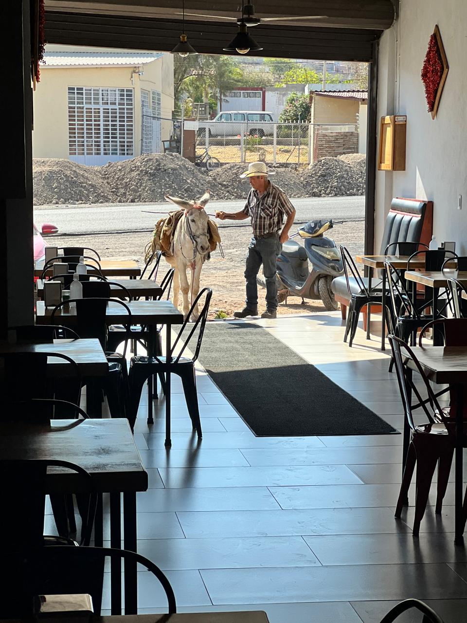 Taqueria Quiroz image 6