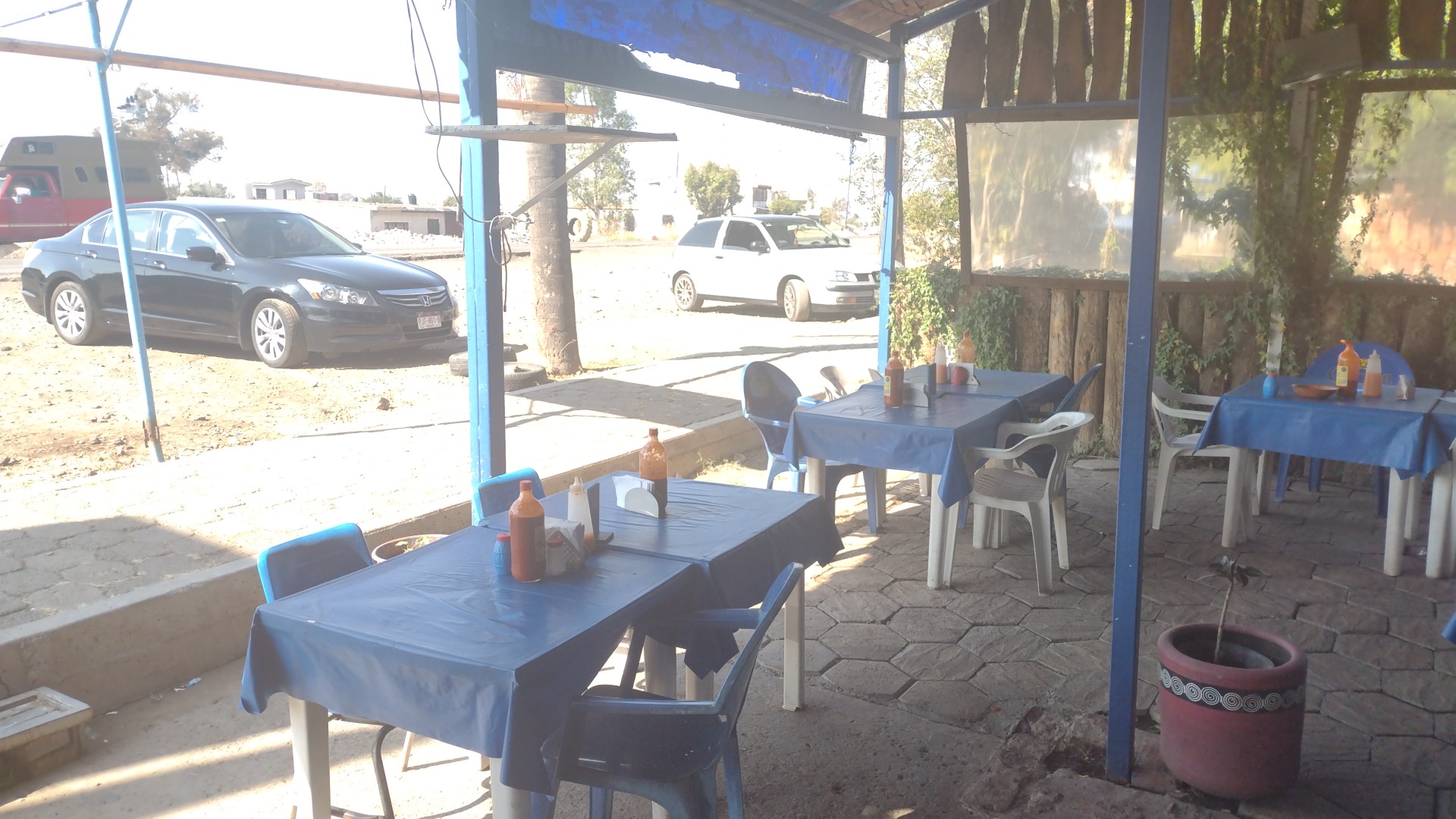 Mariscos el carrizal image 6