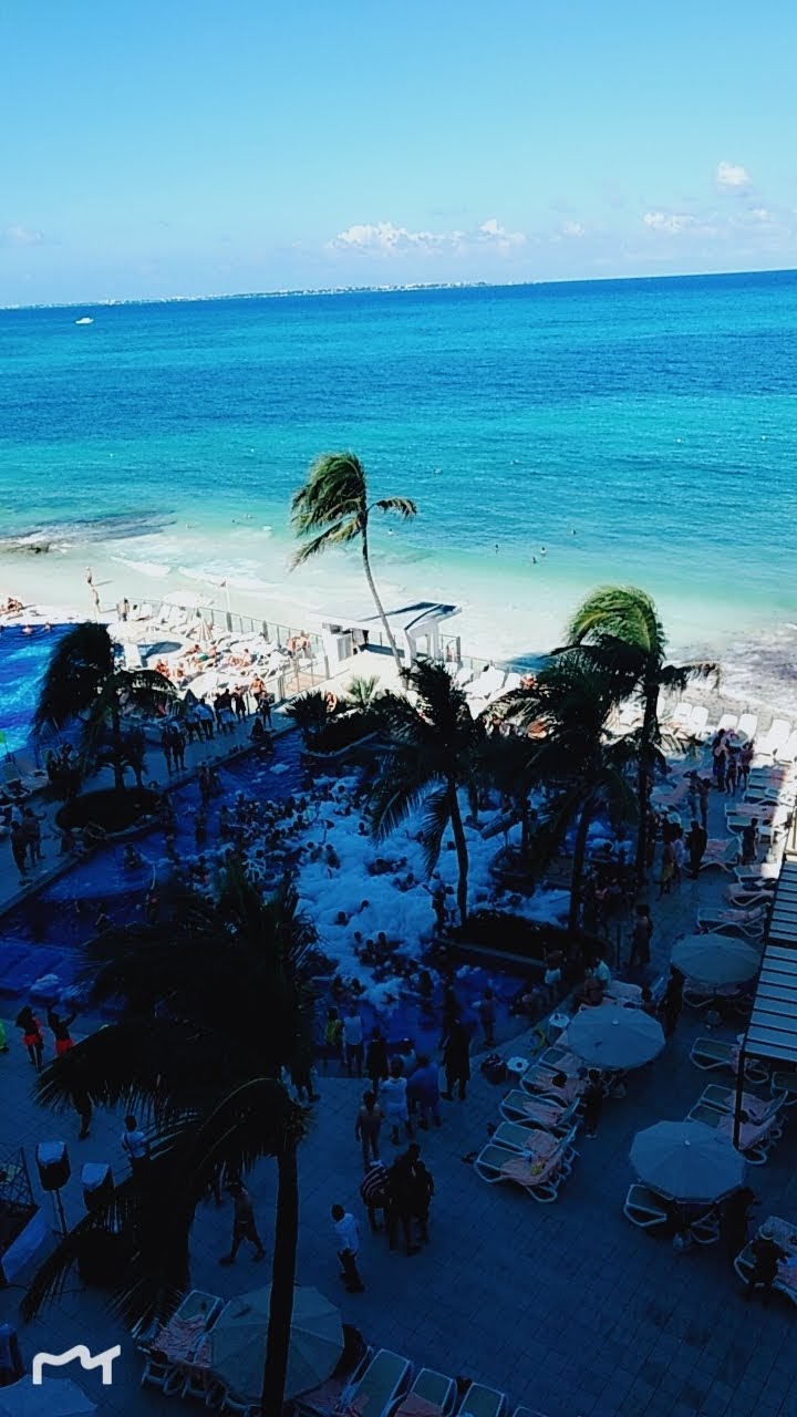 La Burrita De Mar image 2