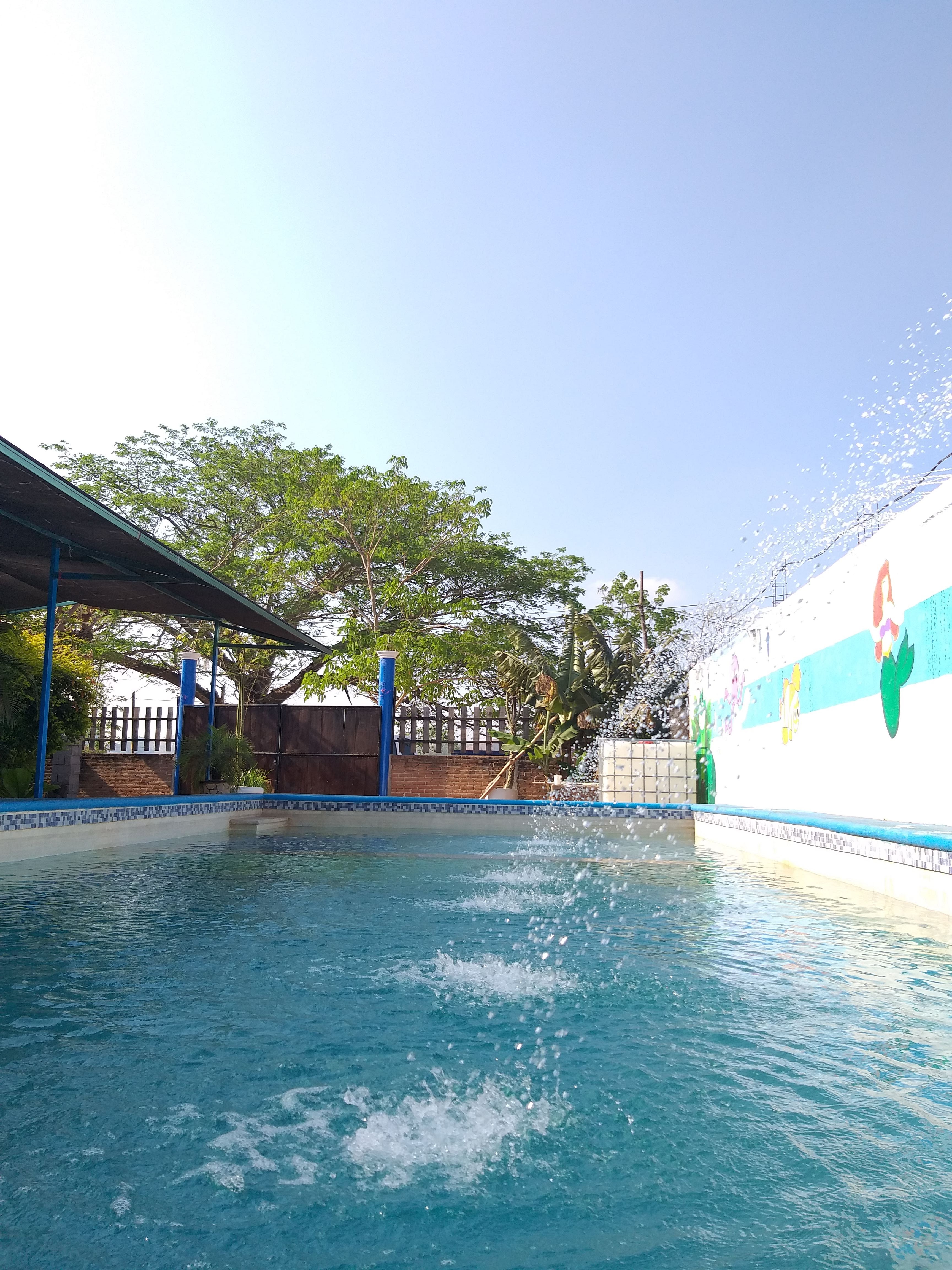 La Ceiba Restaurant image 3