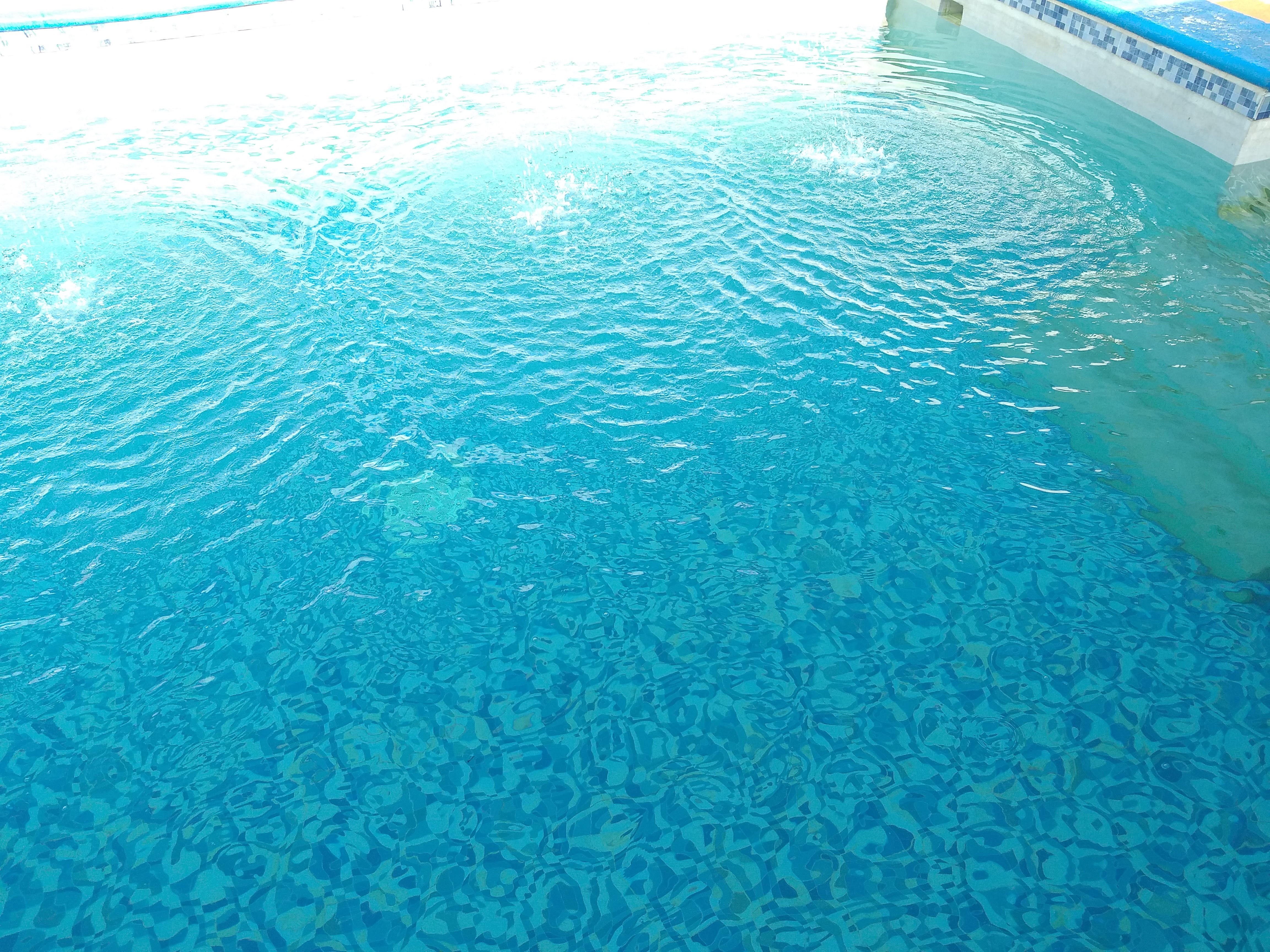 La Ceiba Restaurant image 4