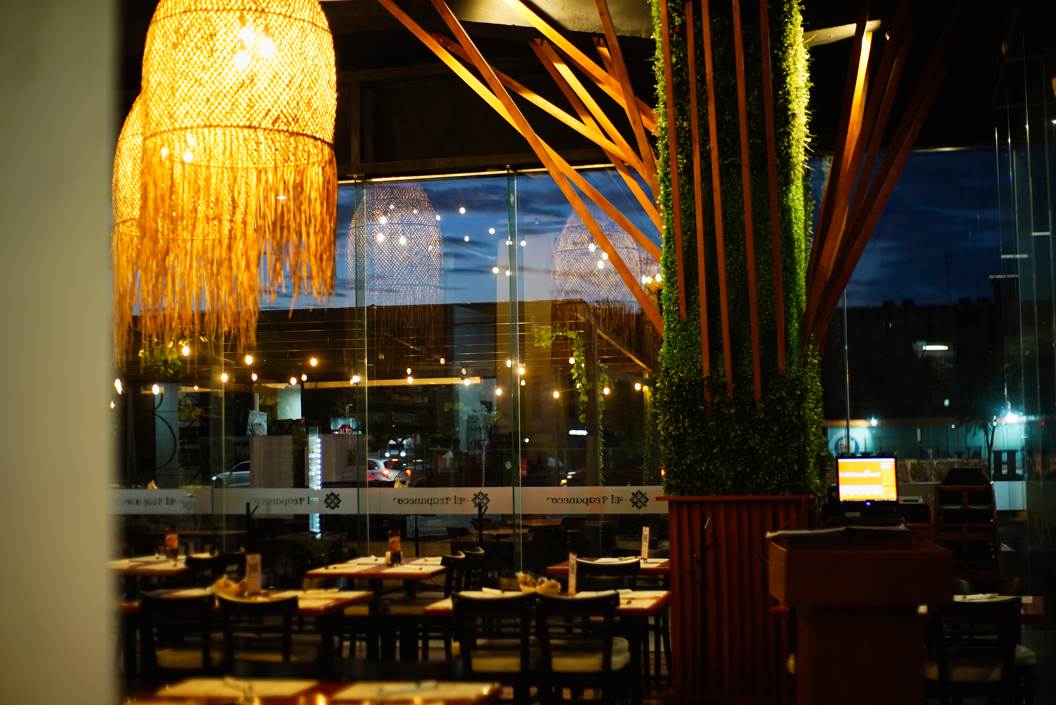 El Teapaneco image 1