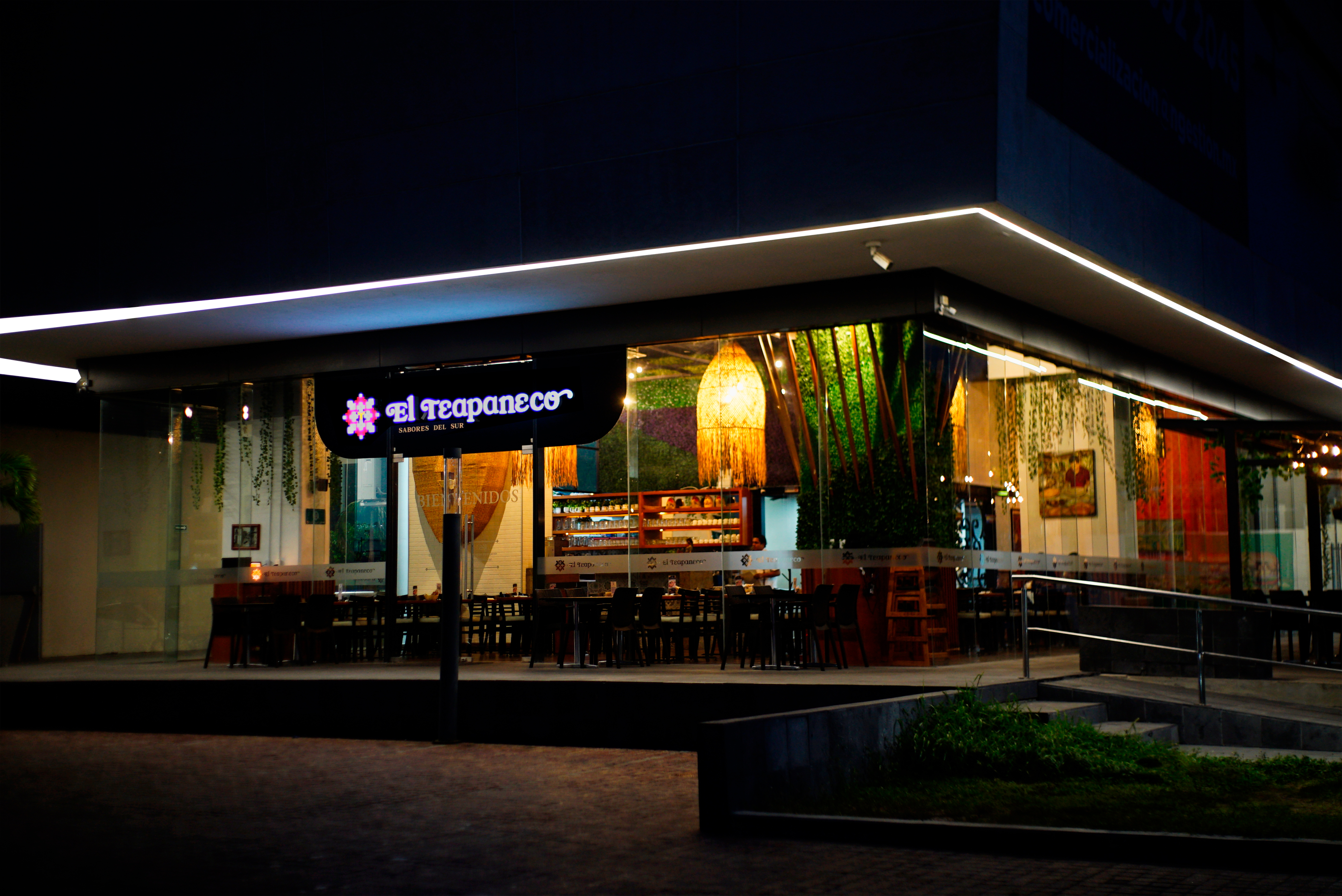 El Teapaneco image 3