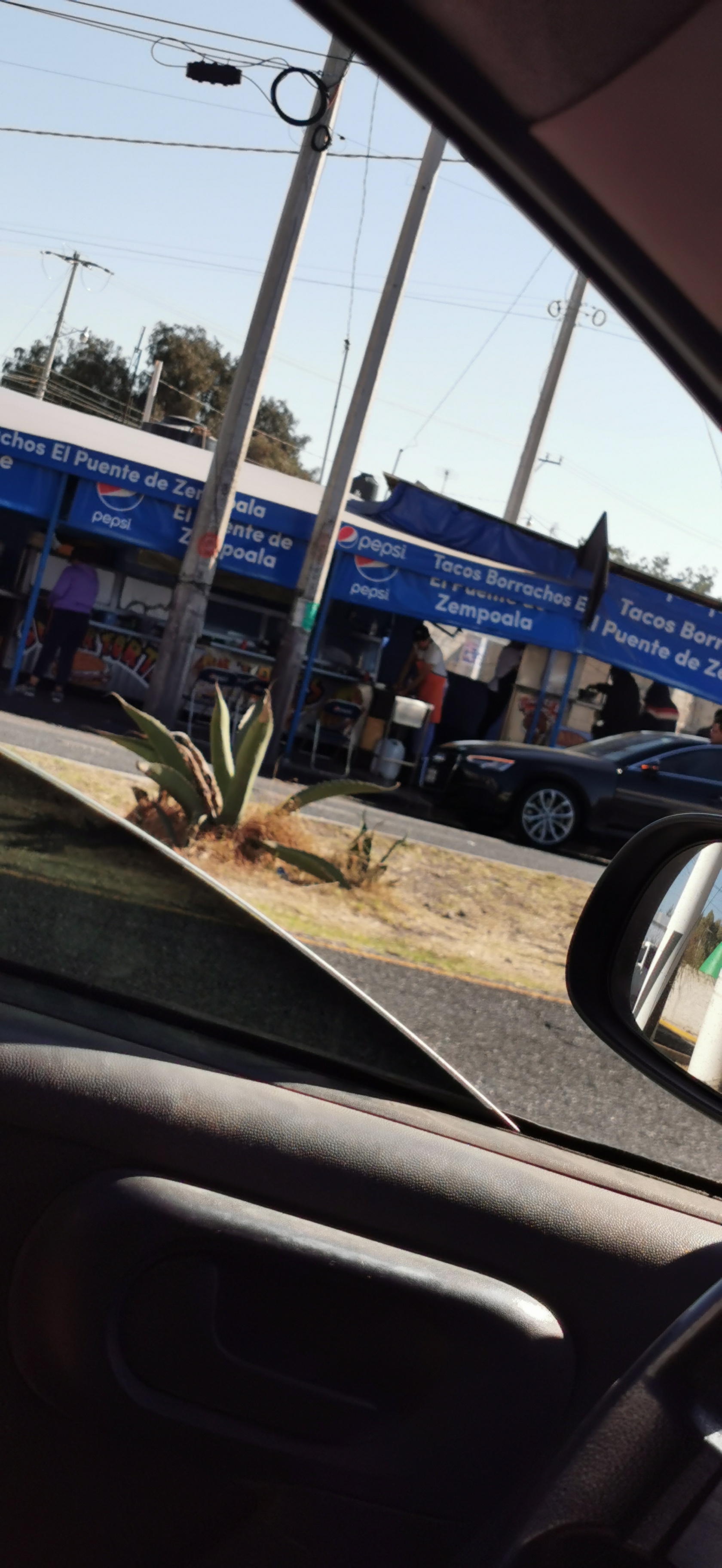 Tacos Borrachos image 10