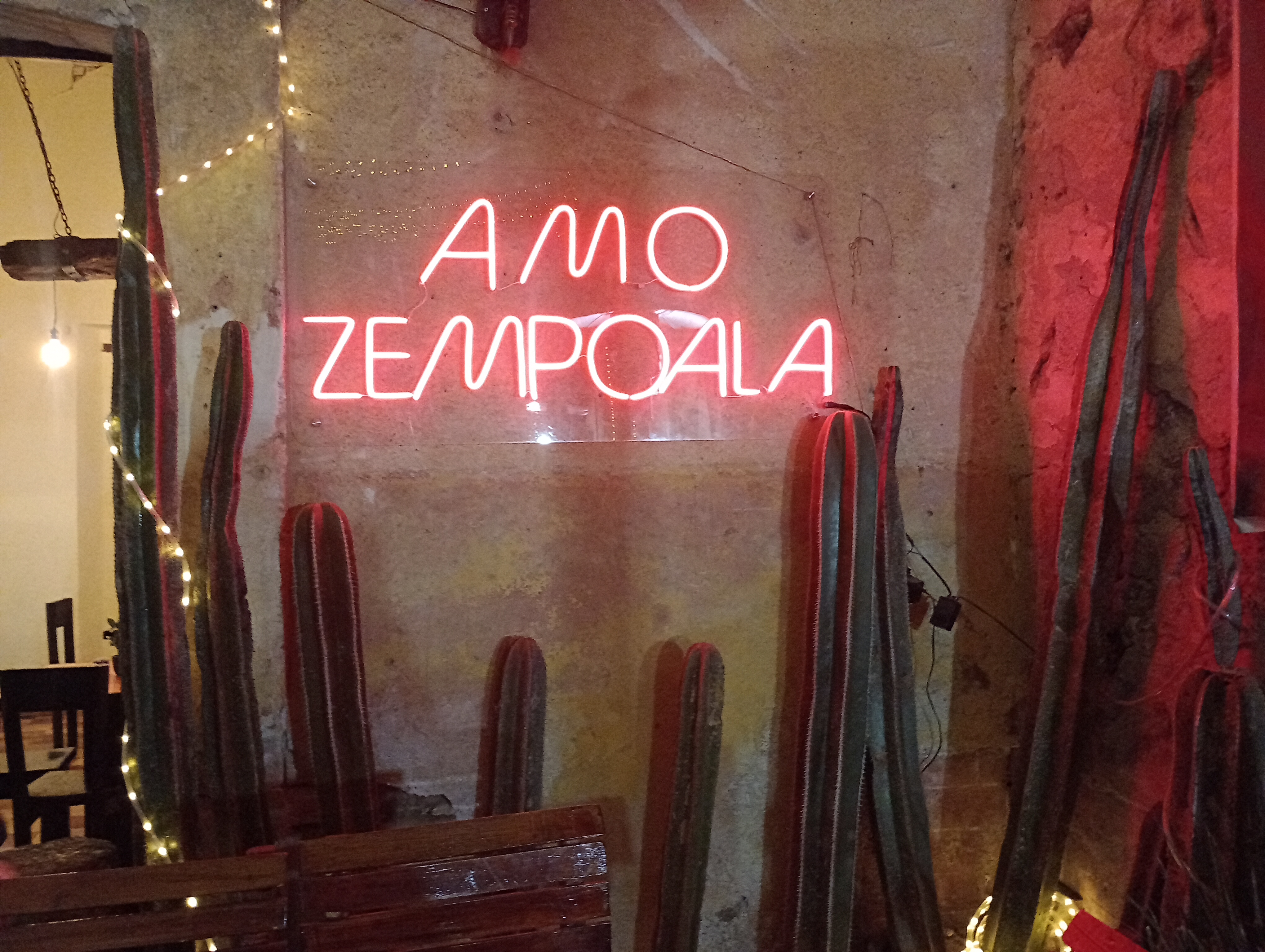 El Rincón de Frida image 10