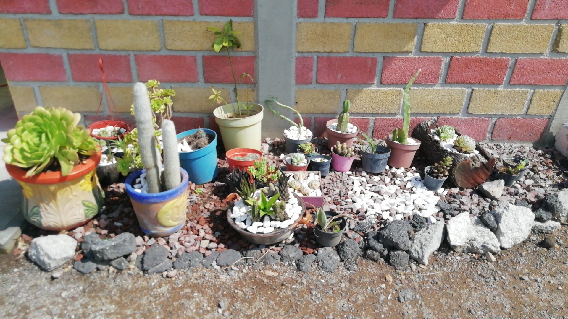 RESTAURANTE ARCOS DE VENUS image 7