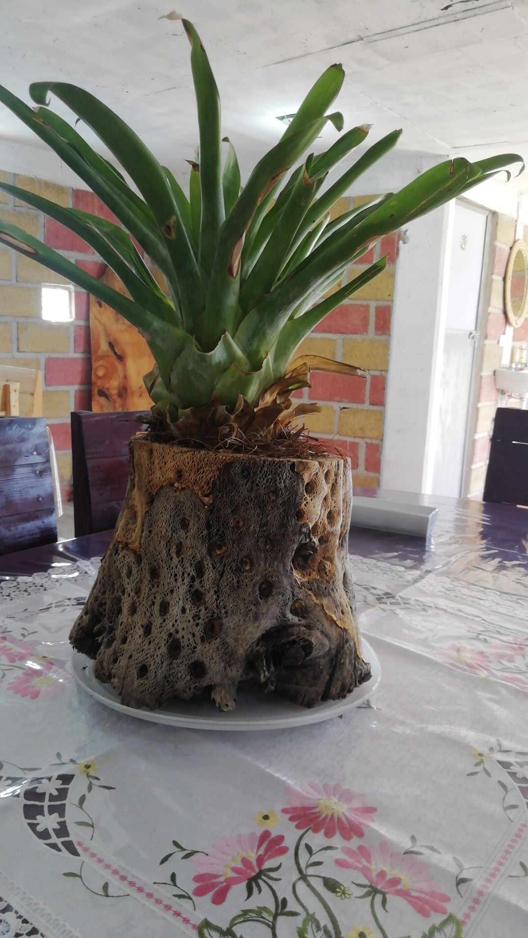 RESTAURANTE ARCOS DE VENUS image 8