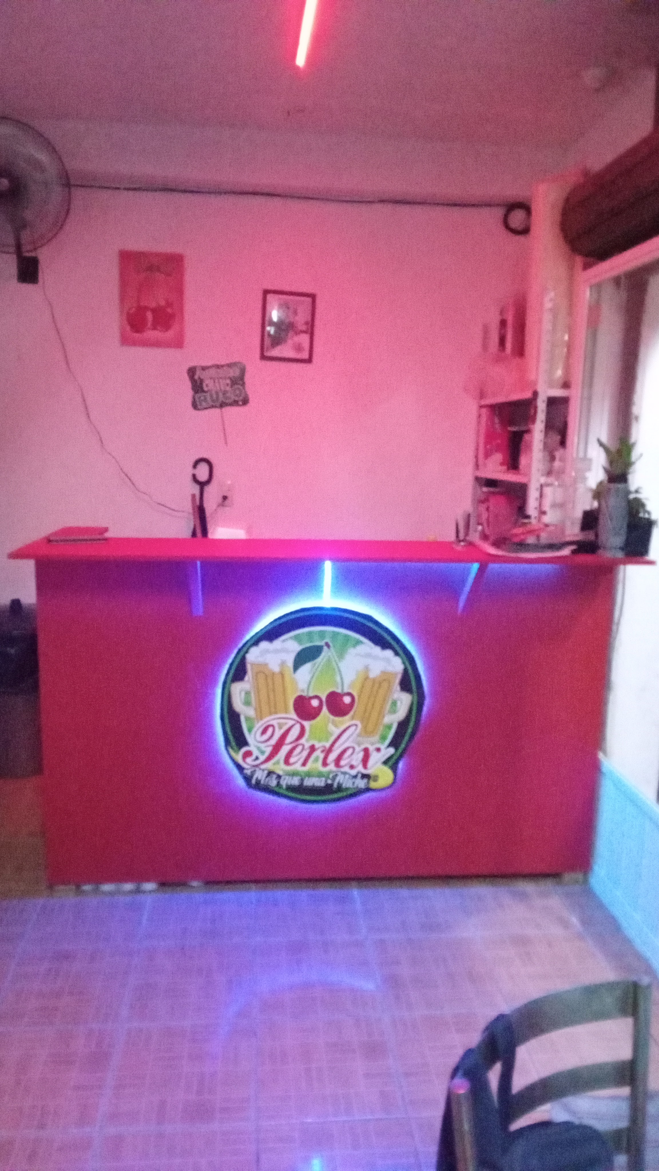 PERLEX mas que una miche image 3