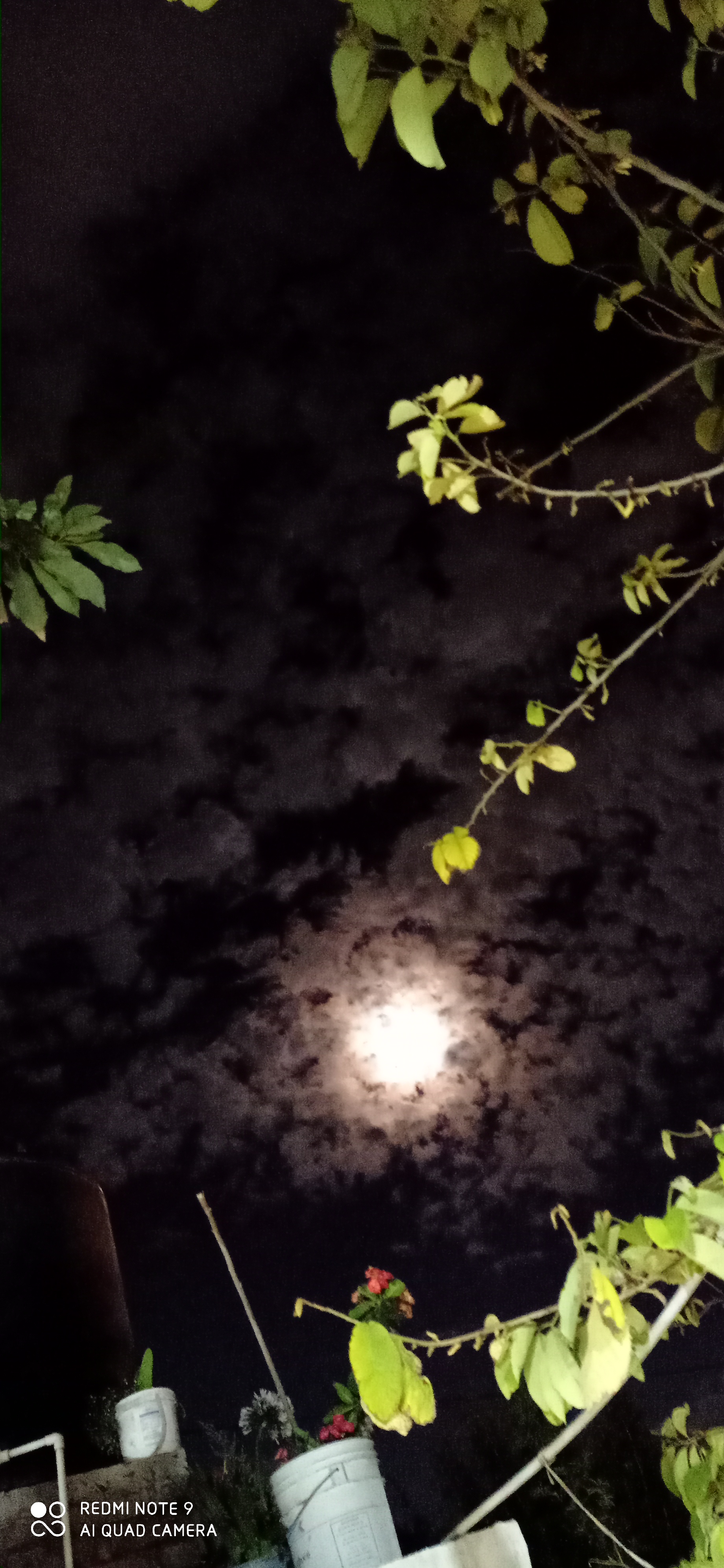 Restaurante Corralero image 7