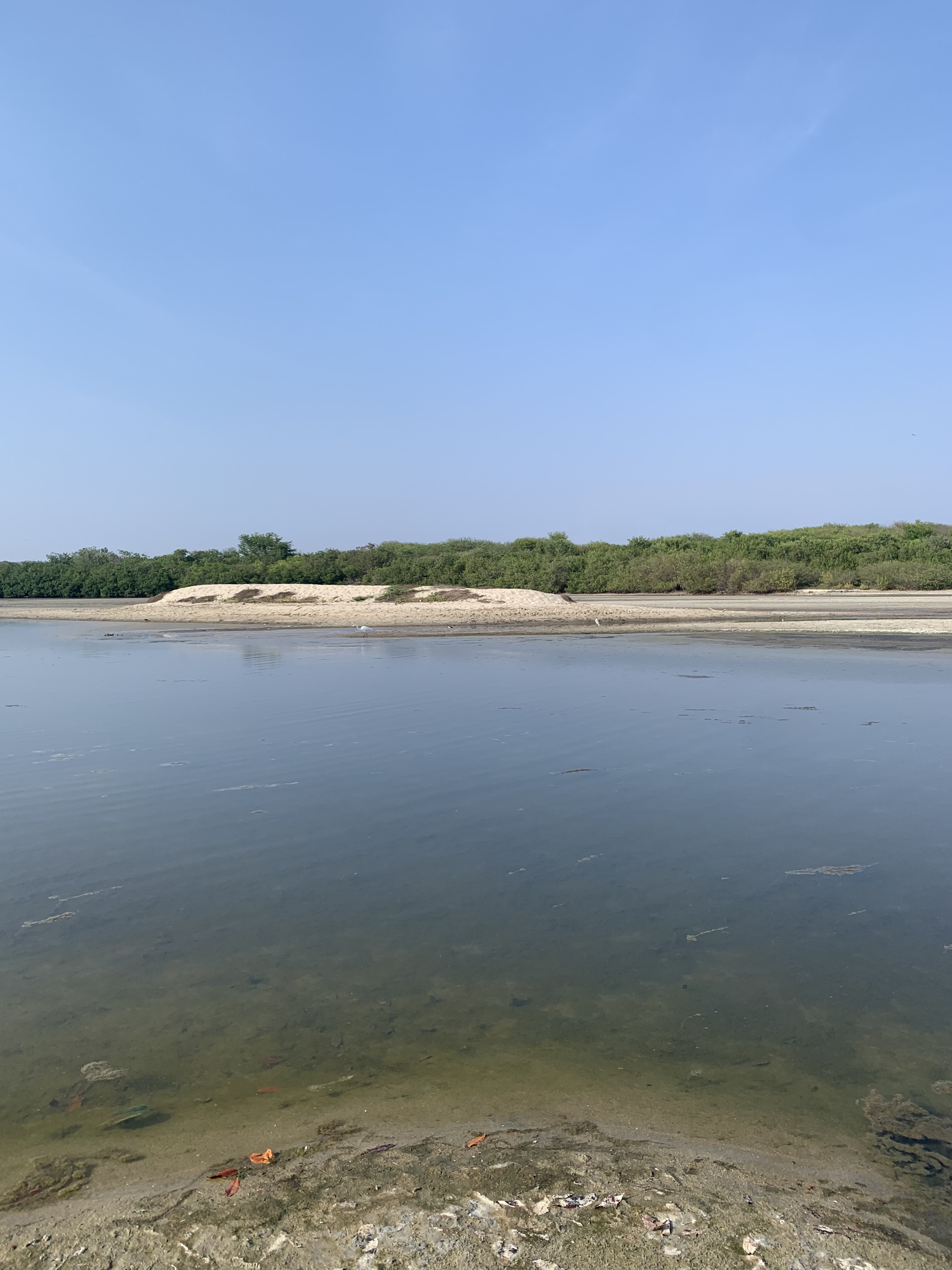 RESTAURANT JUANITA image 1