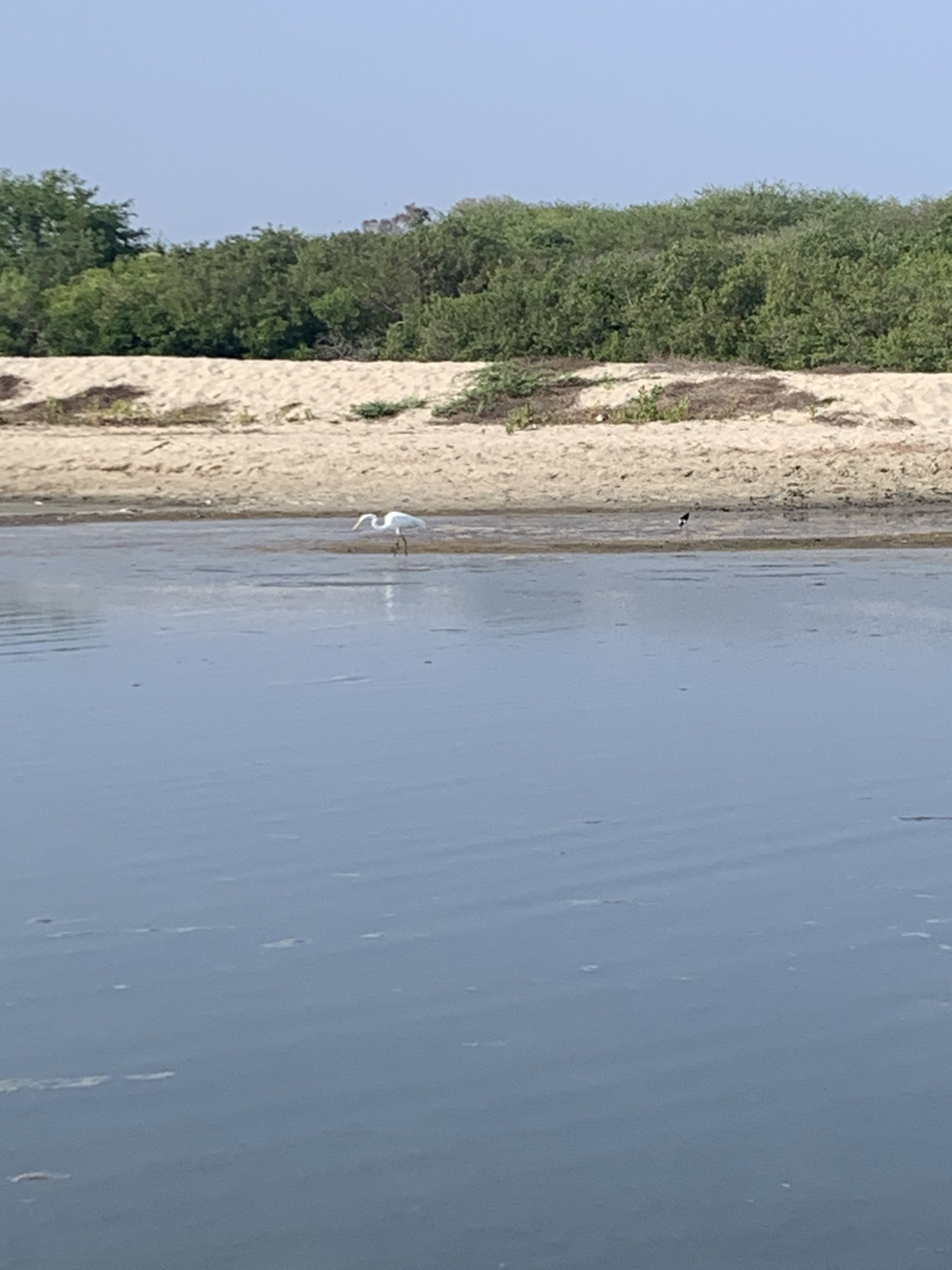 RESTAURANT JUANITA image 3