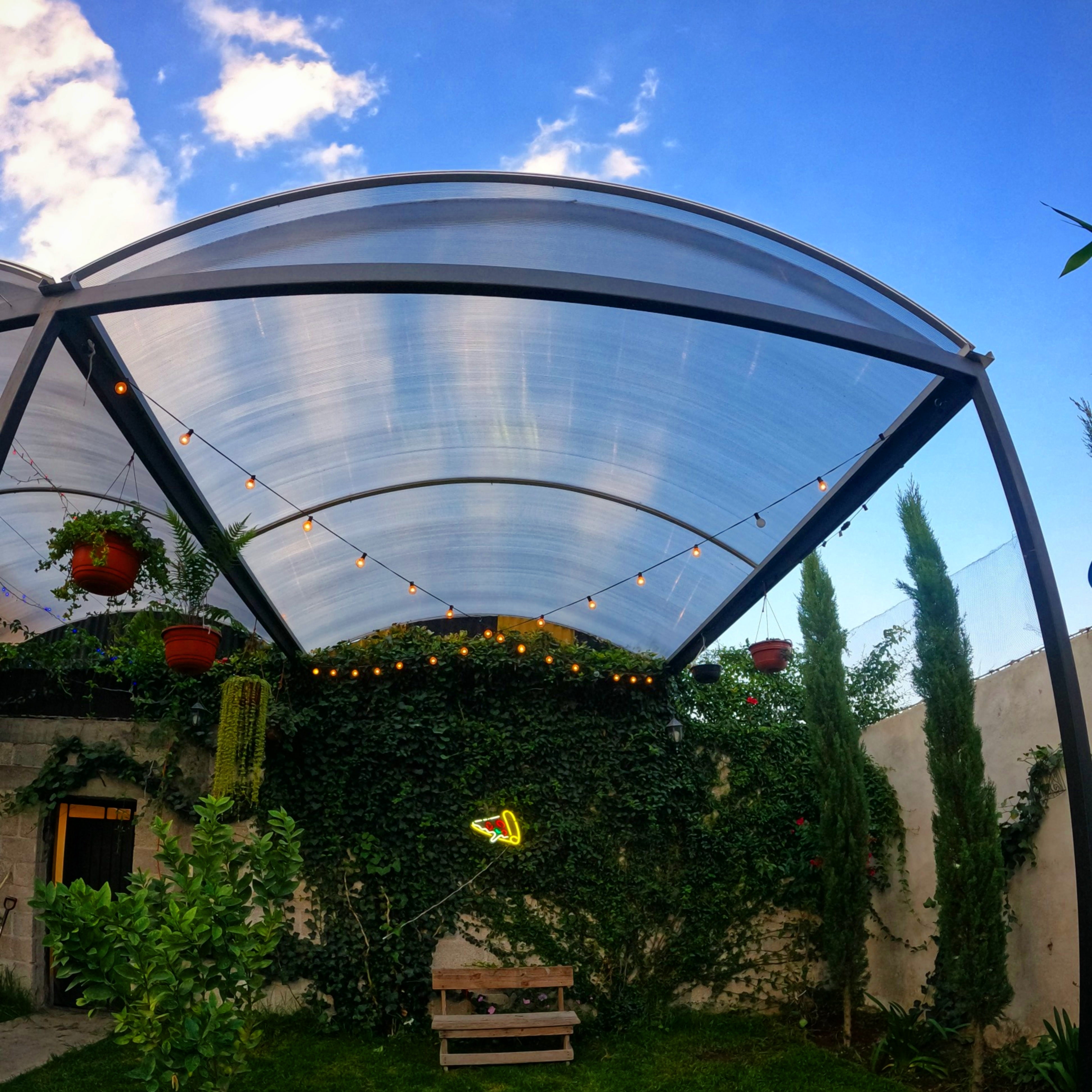 Pizzas Monti's image 2