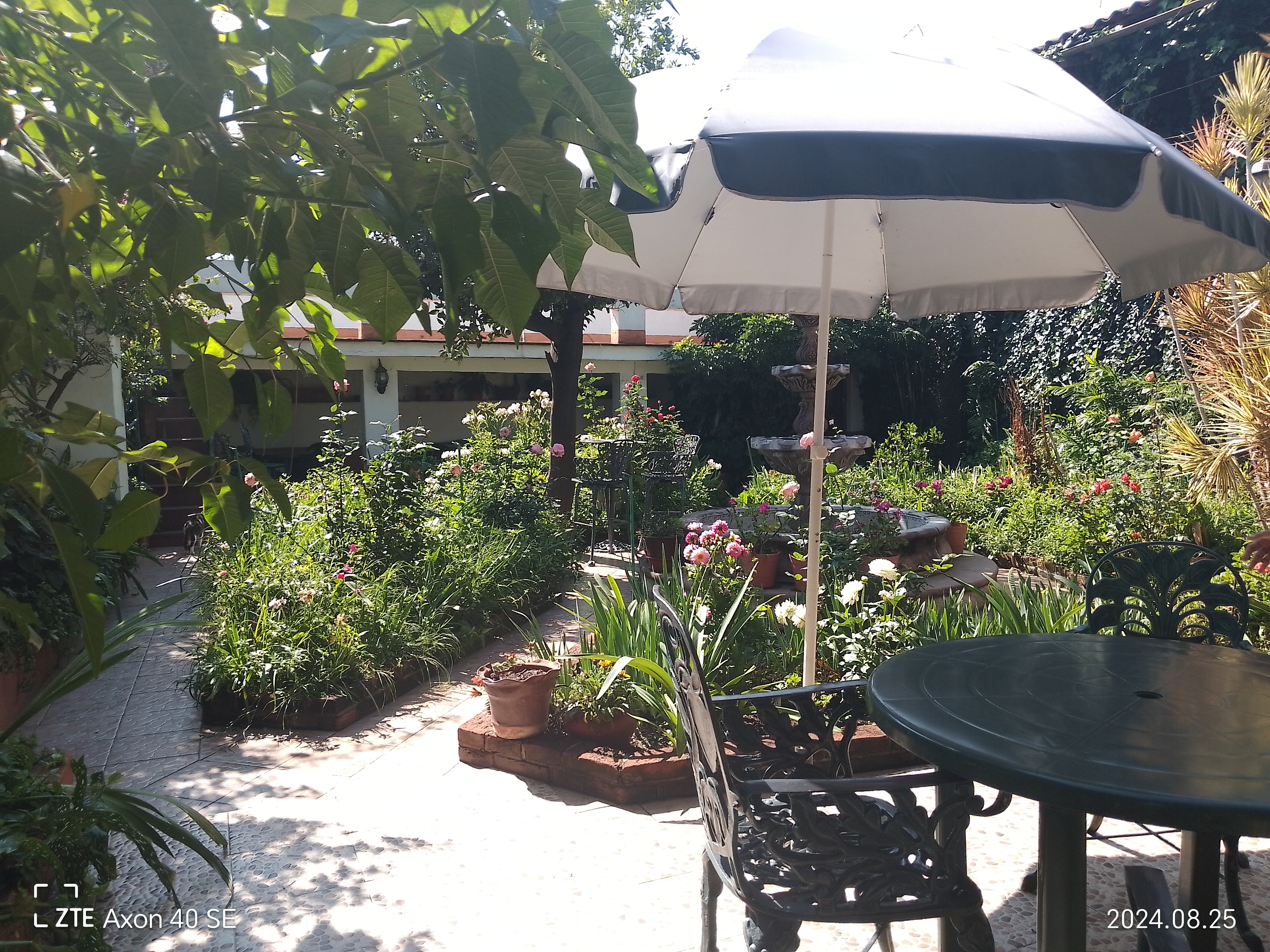 El Jardín de los Abuelos image 1