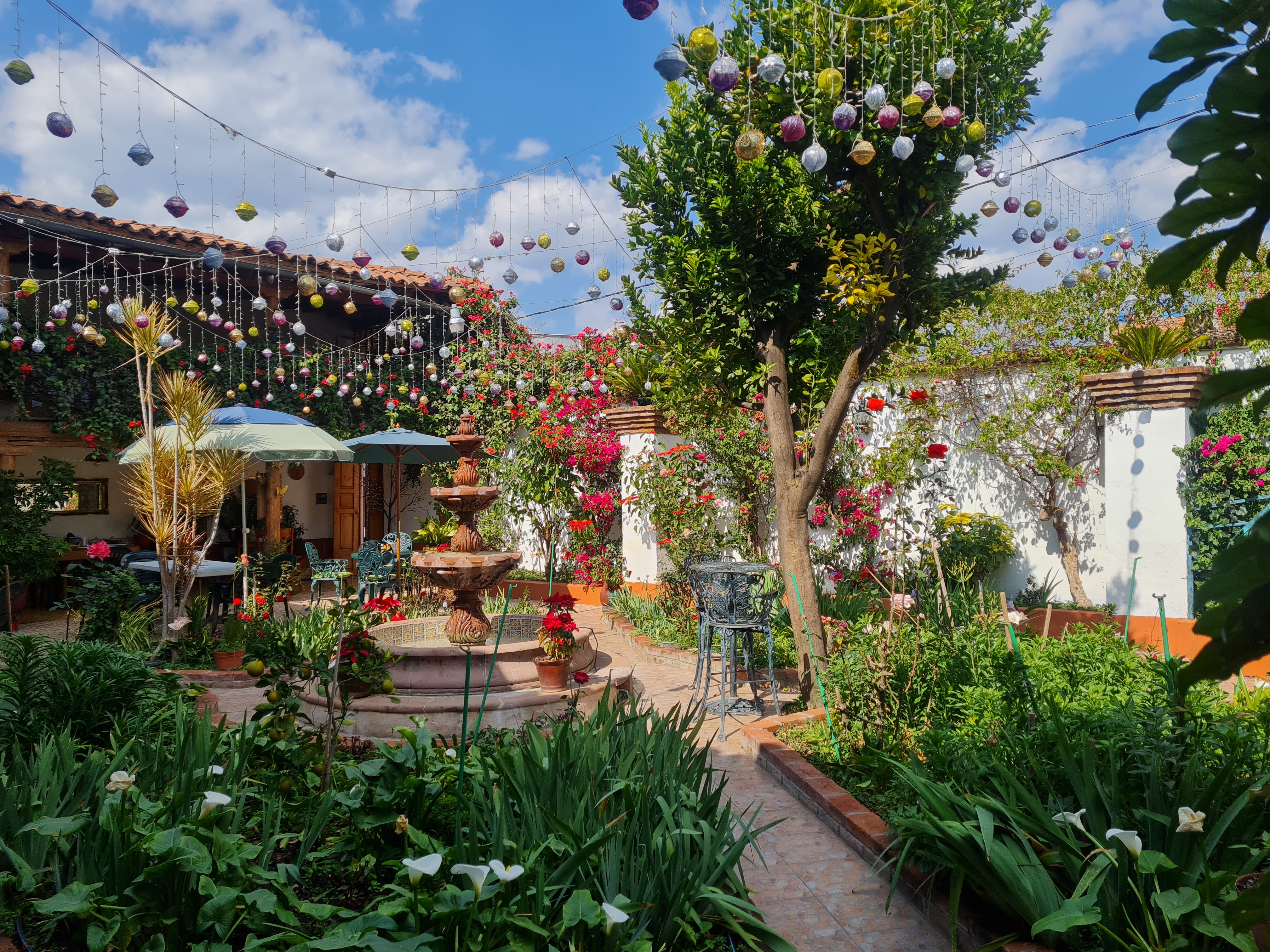 El Jardín de los Abuelos image 4