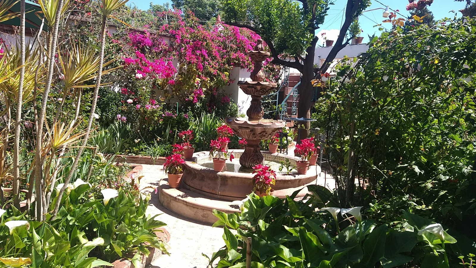 El Jardín de los Abuelos image 9