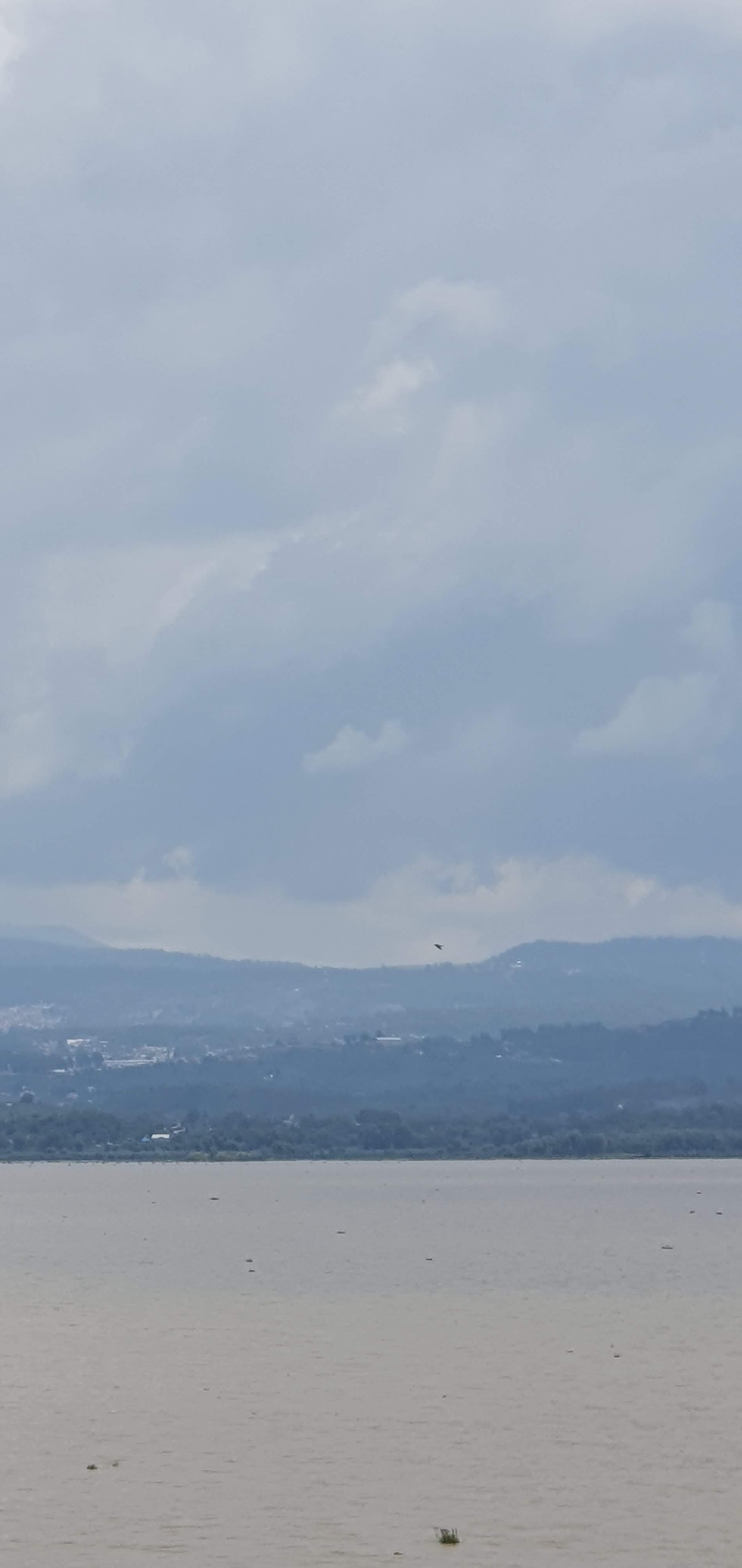 Restaurant Huaruri image 10